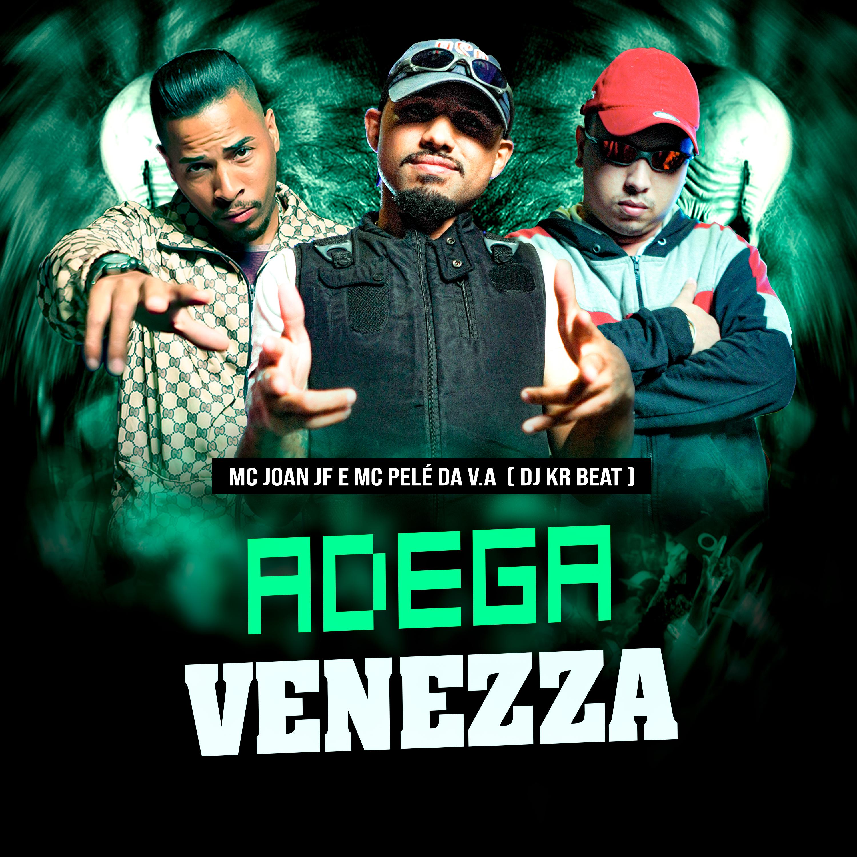 Постер альбома Adega Venezza