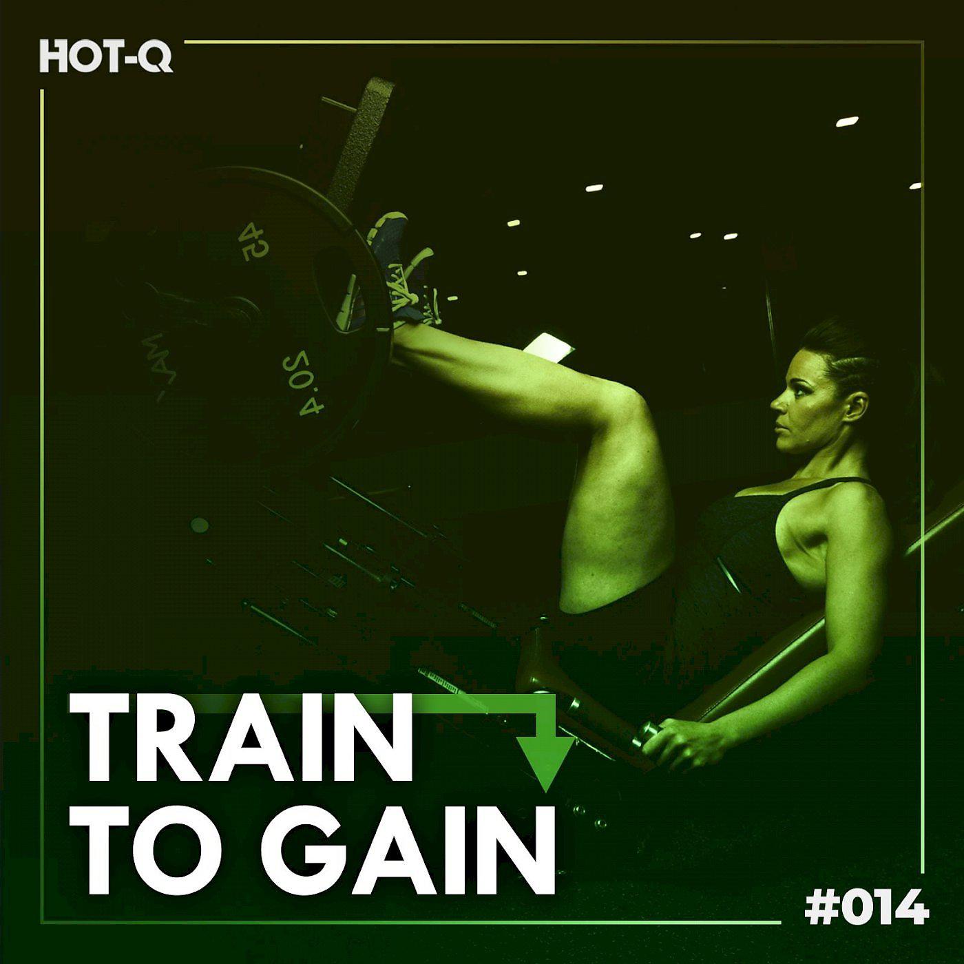 Постер альбома Train To Gain 014