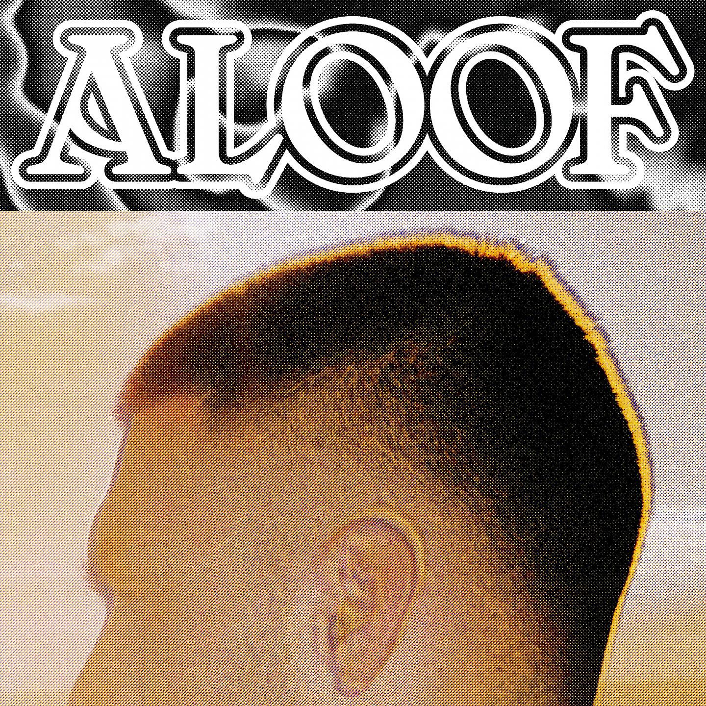 Постер альбома Aloof