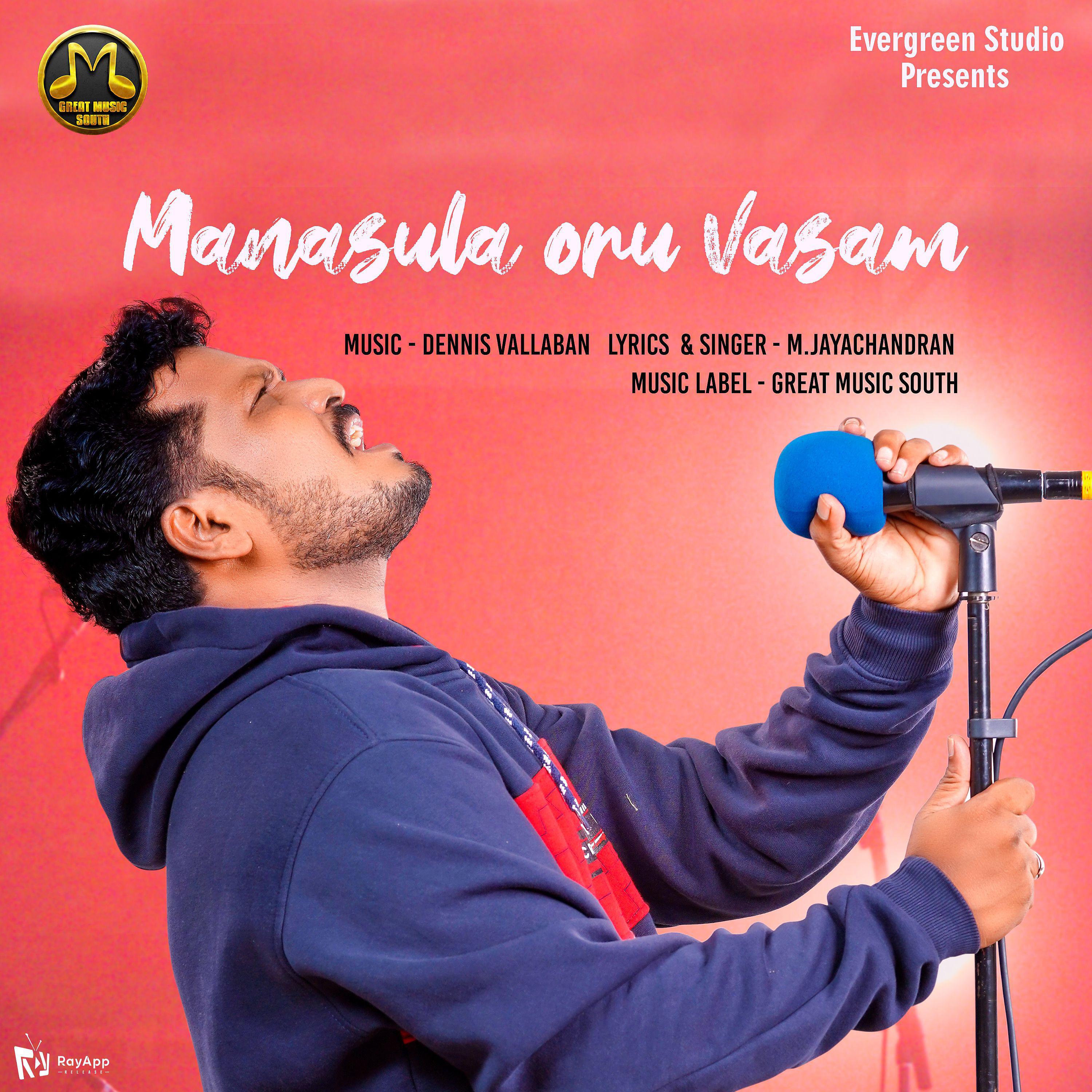 Постер альбома Manasula Oru Vasam