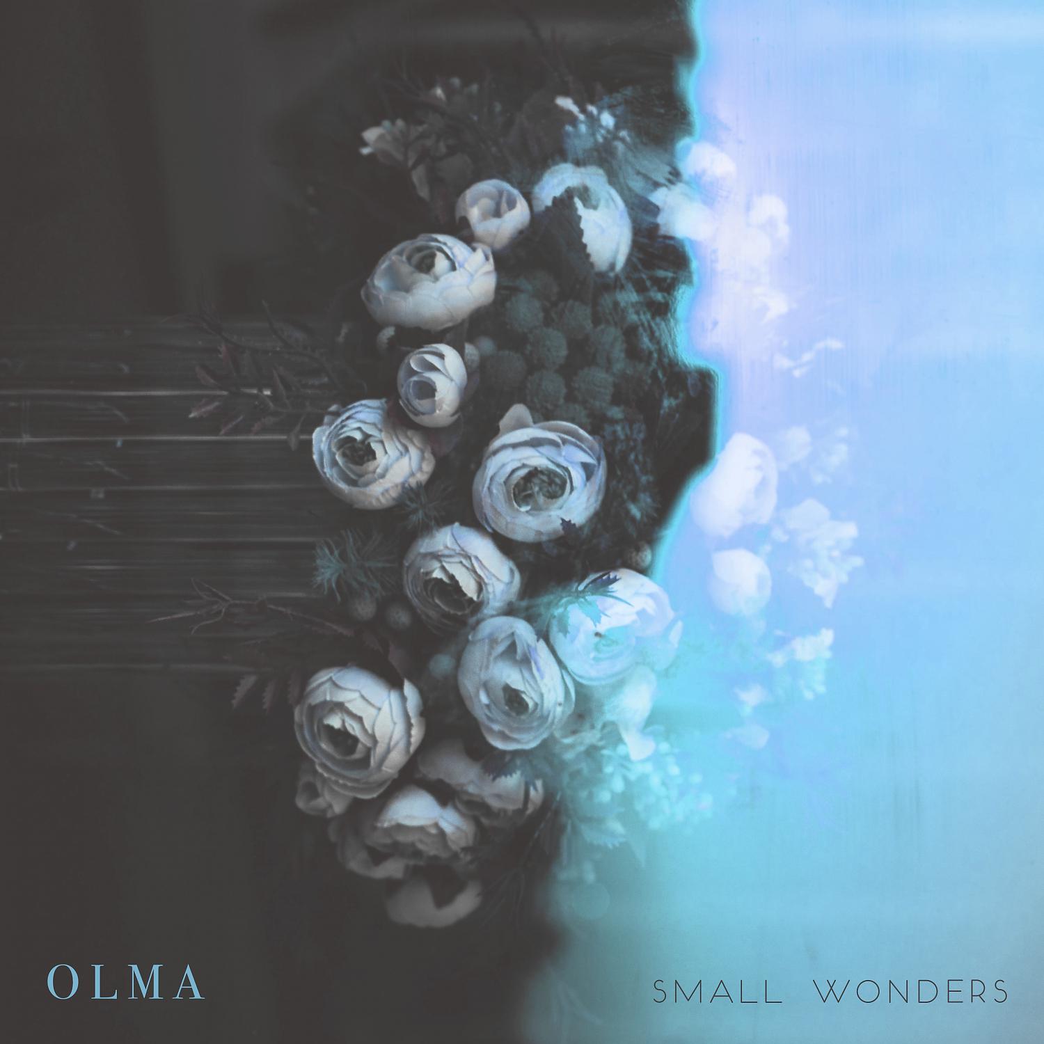 Постер альбома Small Wonders