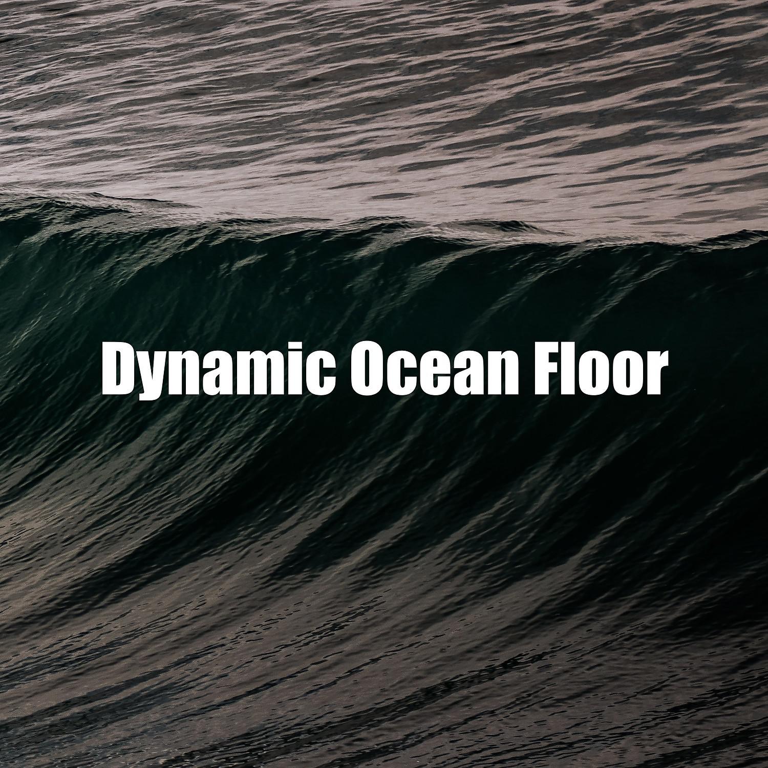 Постер альбома Dynamic Ocean Floor