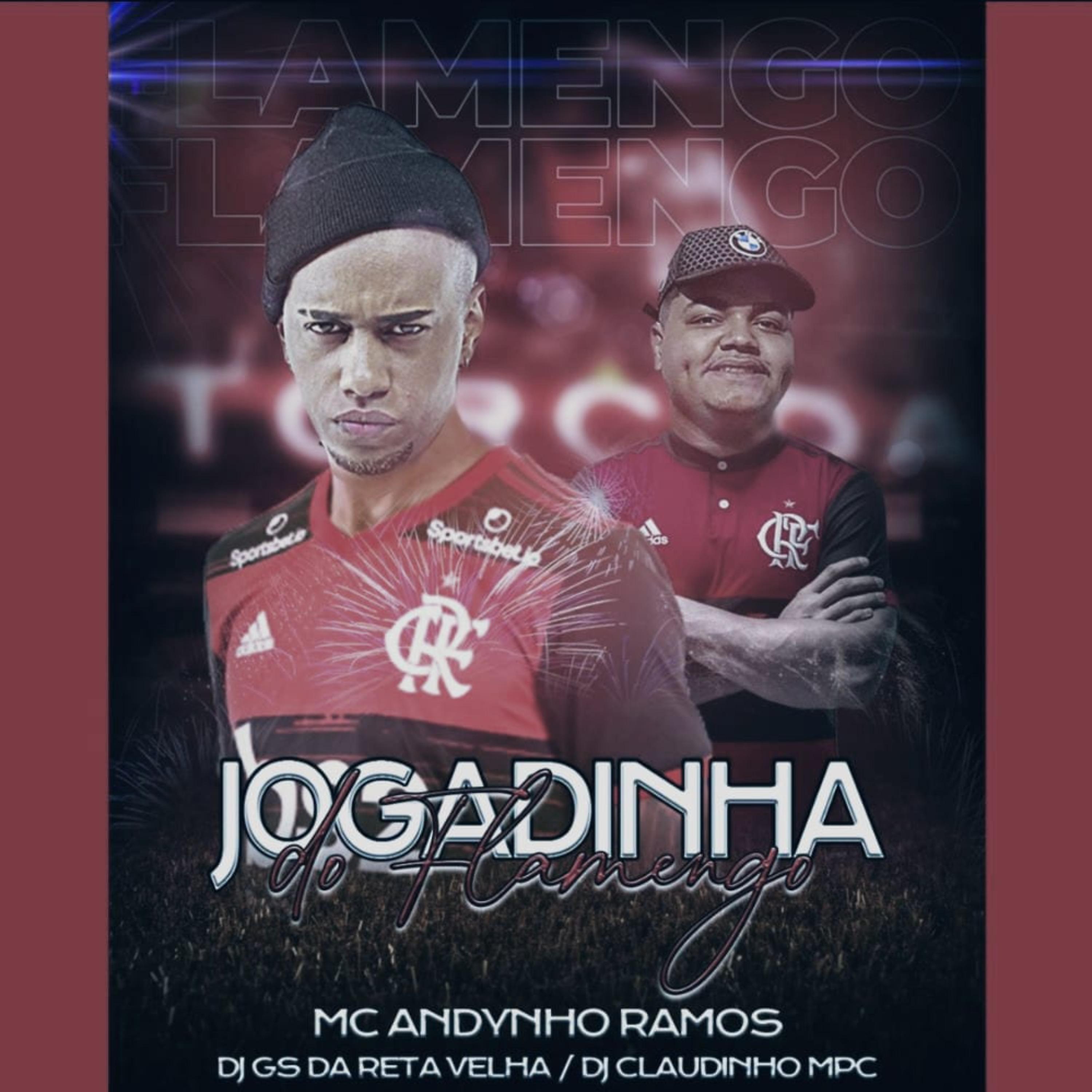 Постер альбома Jogadinha do Flamengo