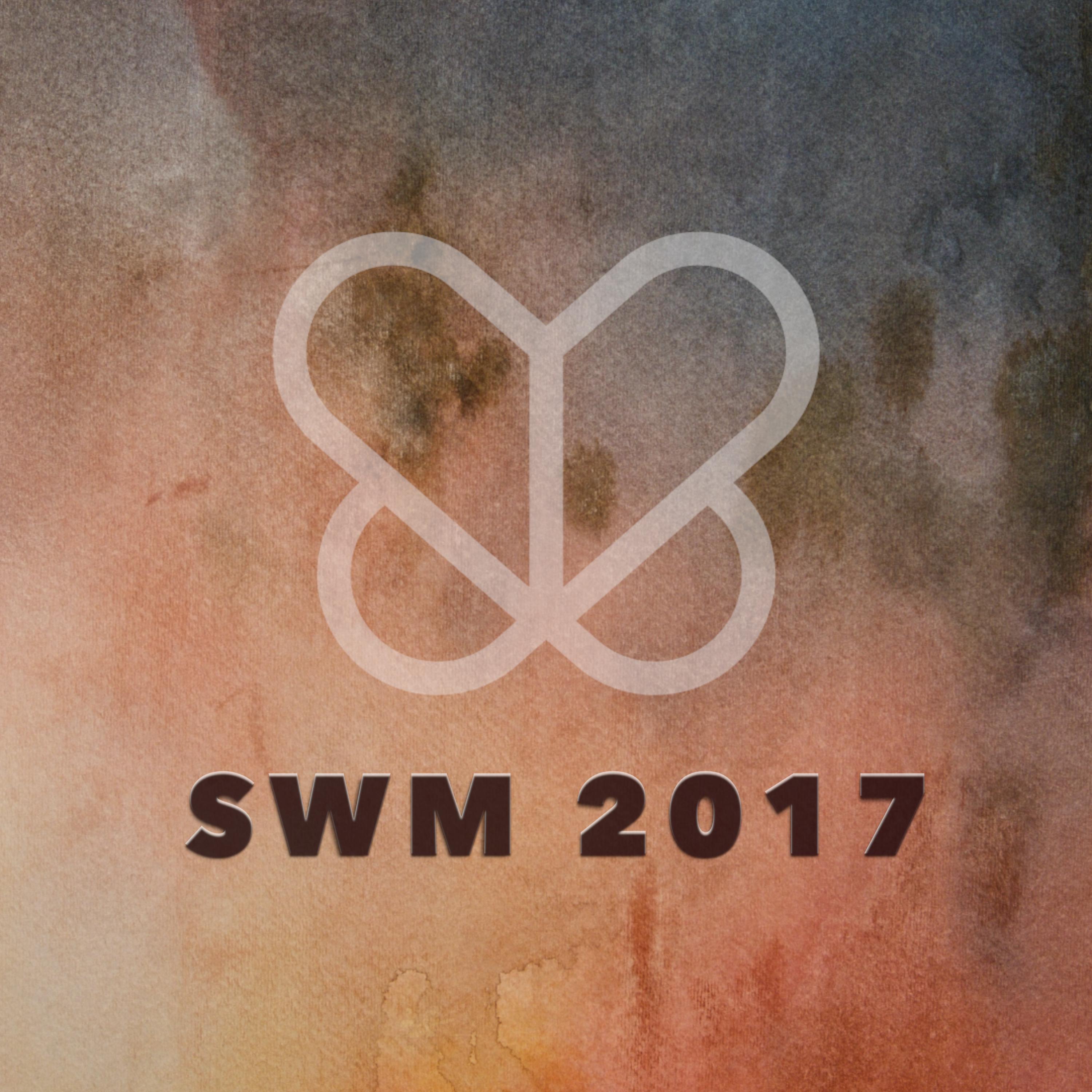 Постер альбома SWM 2017