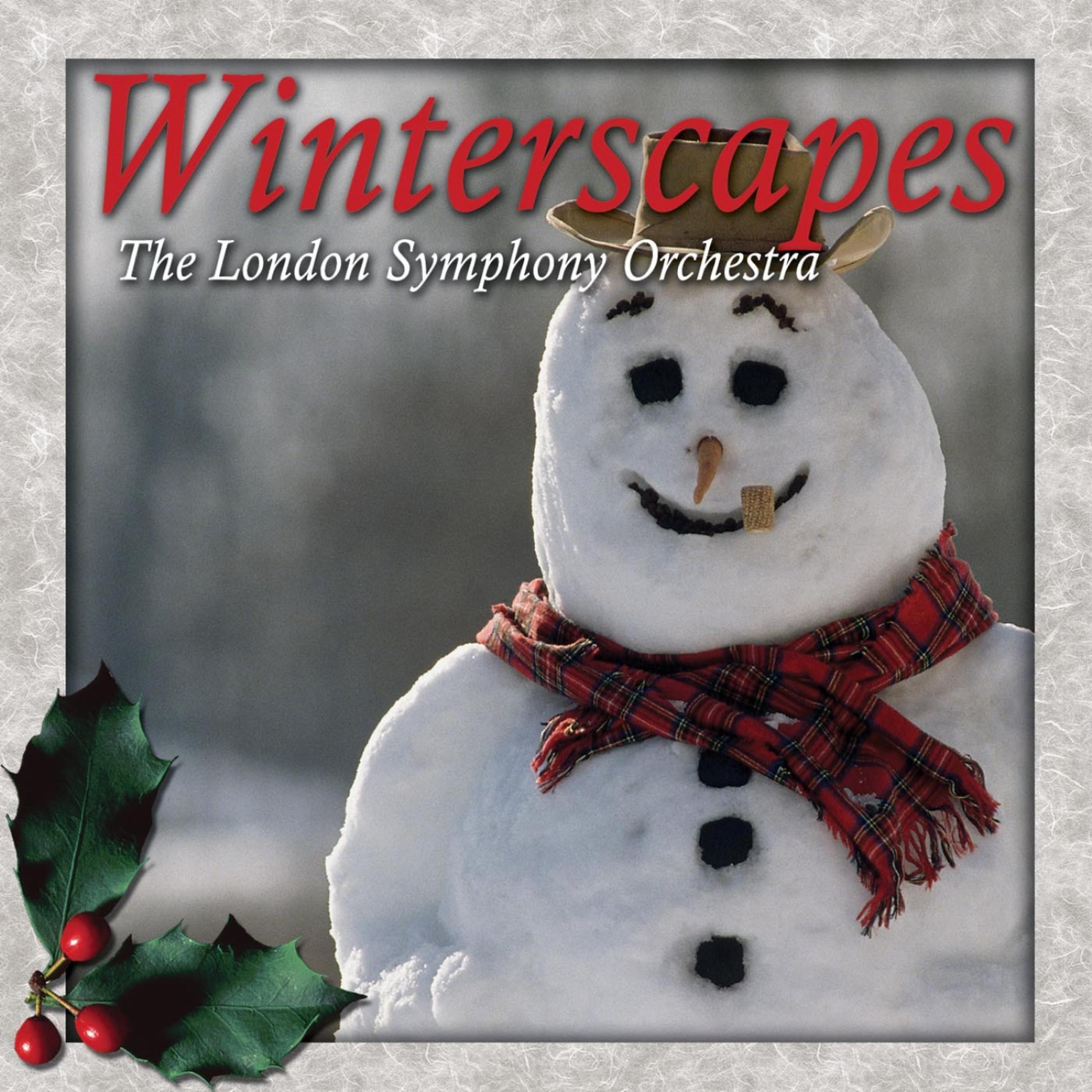 Постер альбома Winterscapes