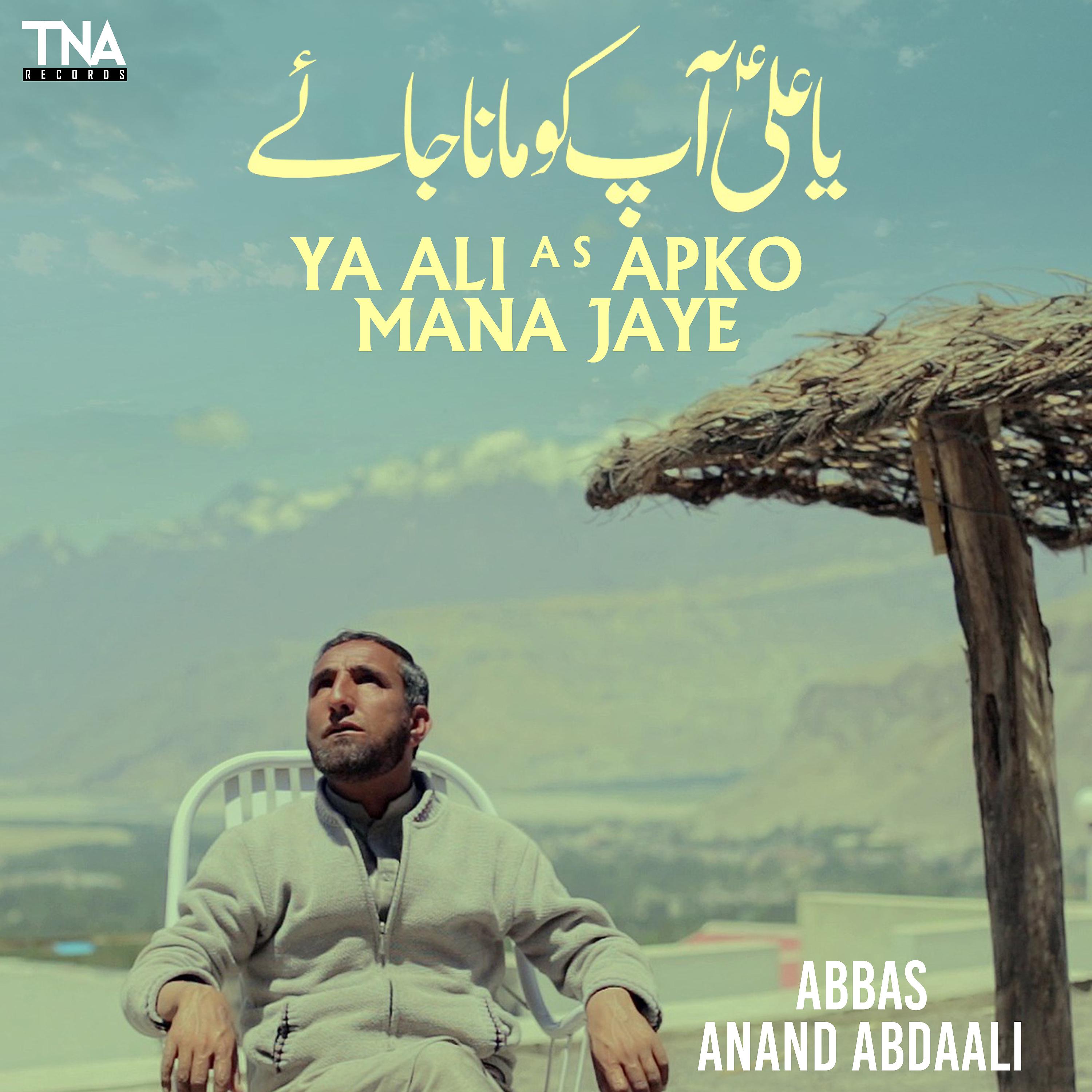 Постер альбома Ya Ali A S Apko Mana Jaye - Single