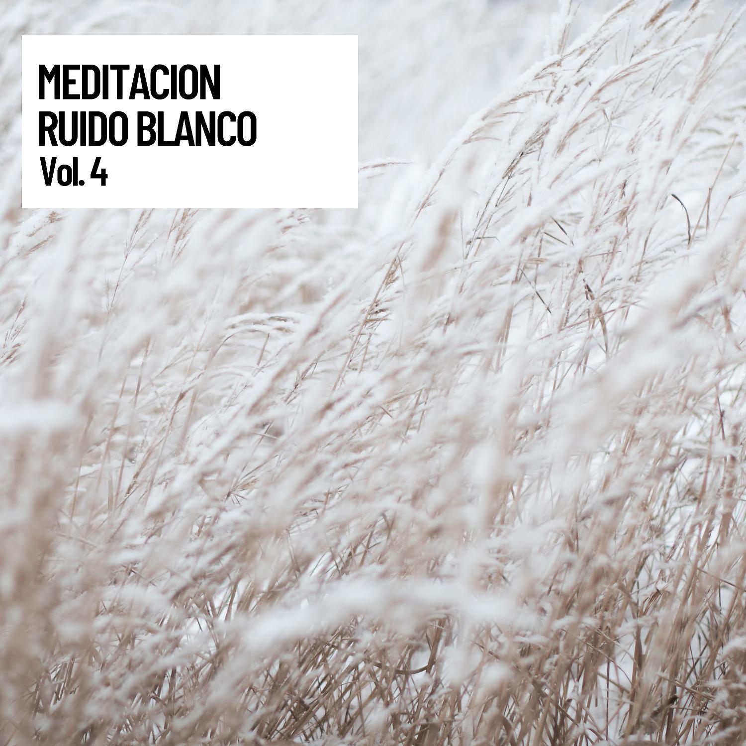 Постер альбома Meditacion Ruido Blanco, Mindful Brain Reset
