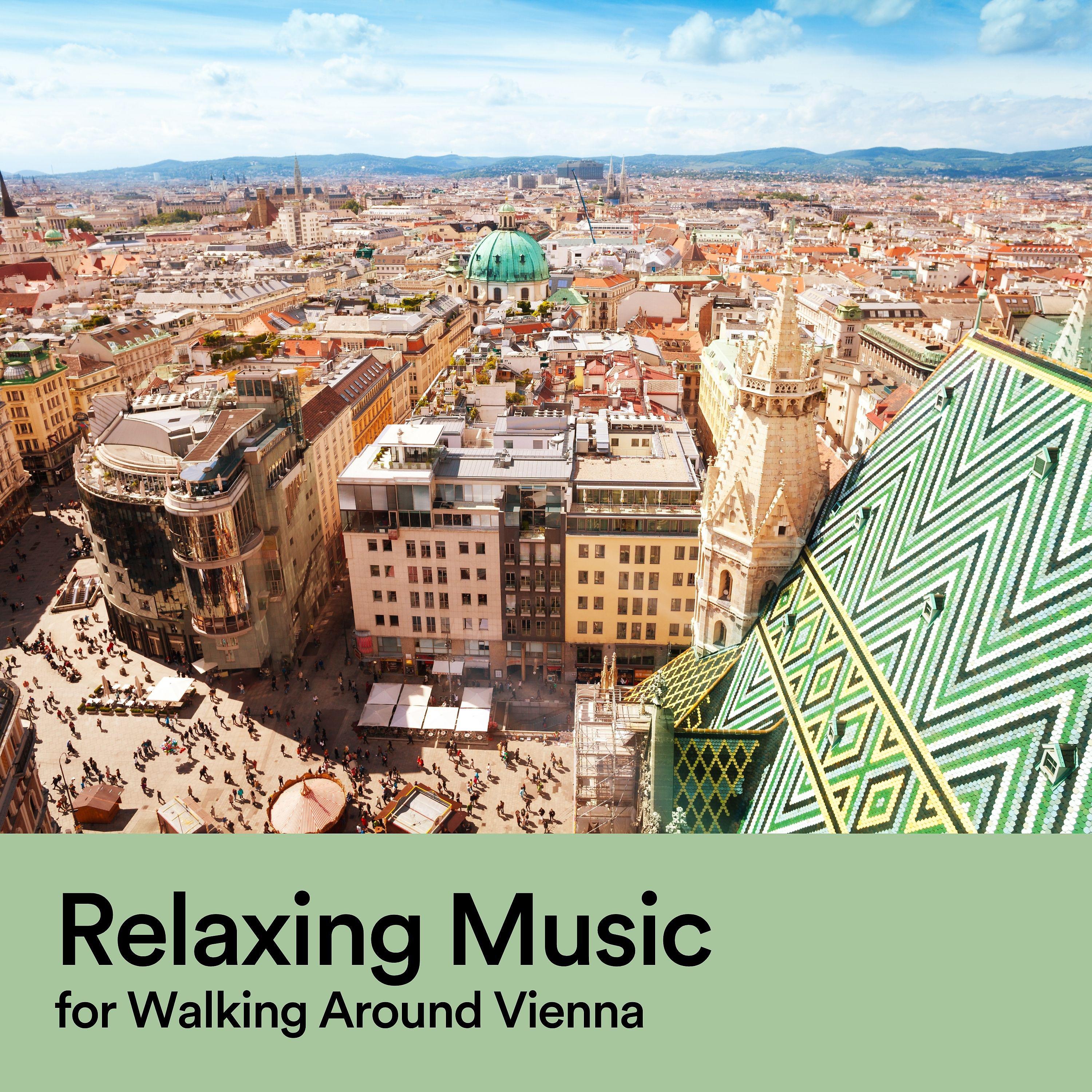 Постер альбома Relaxing Music for Walking Around Vienna