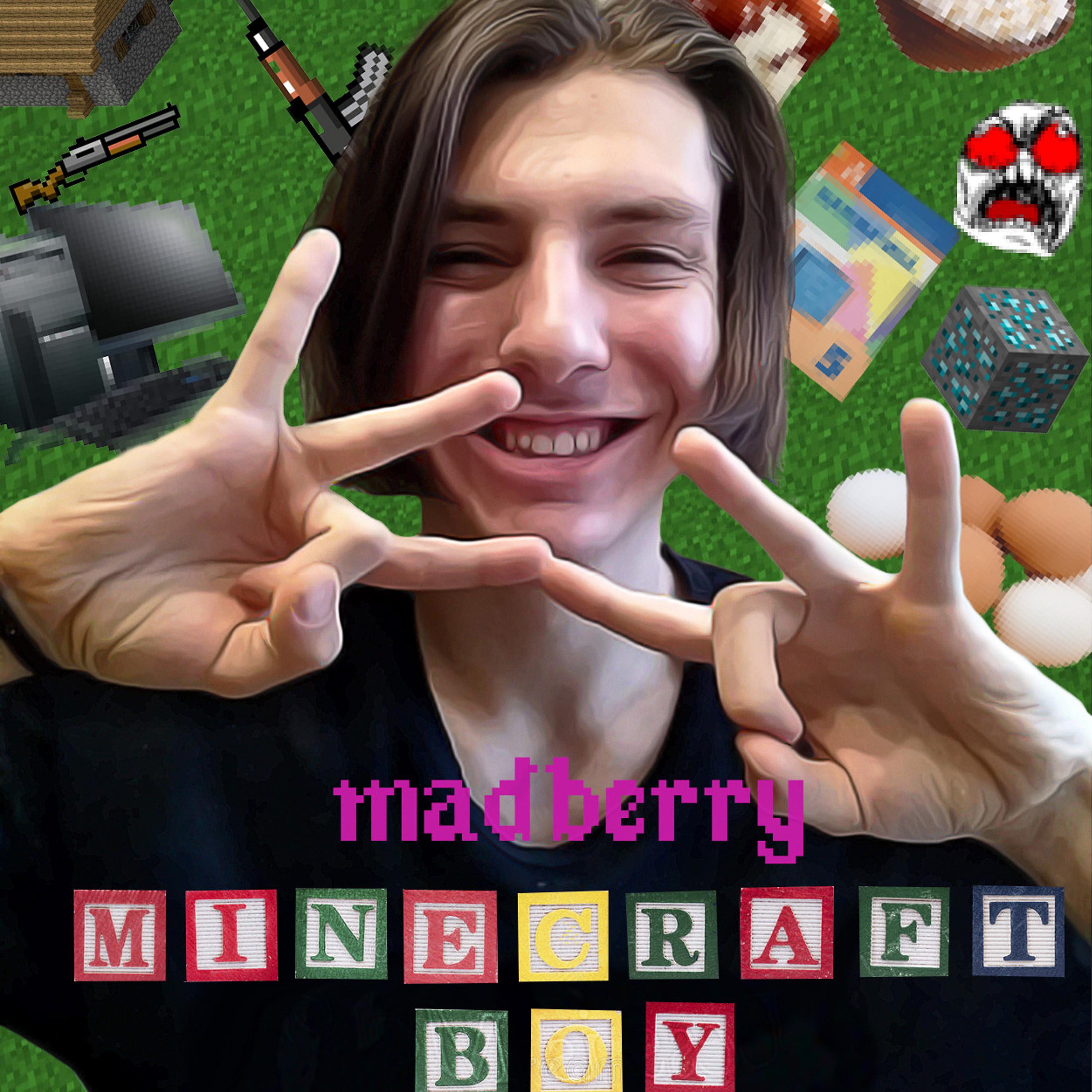 Постер альбома Minecraft Boy