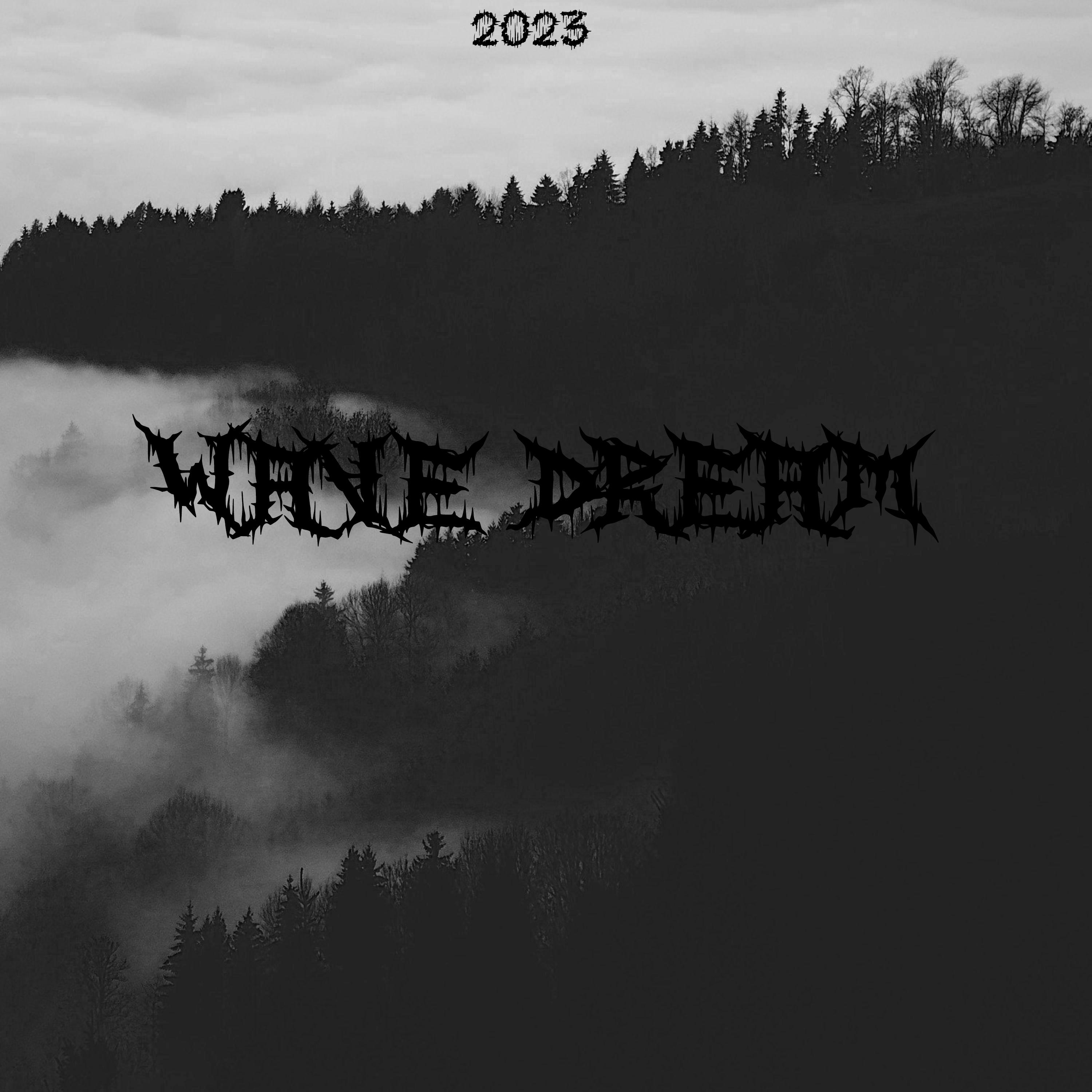 Постер альбома Wave Dream