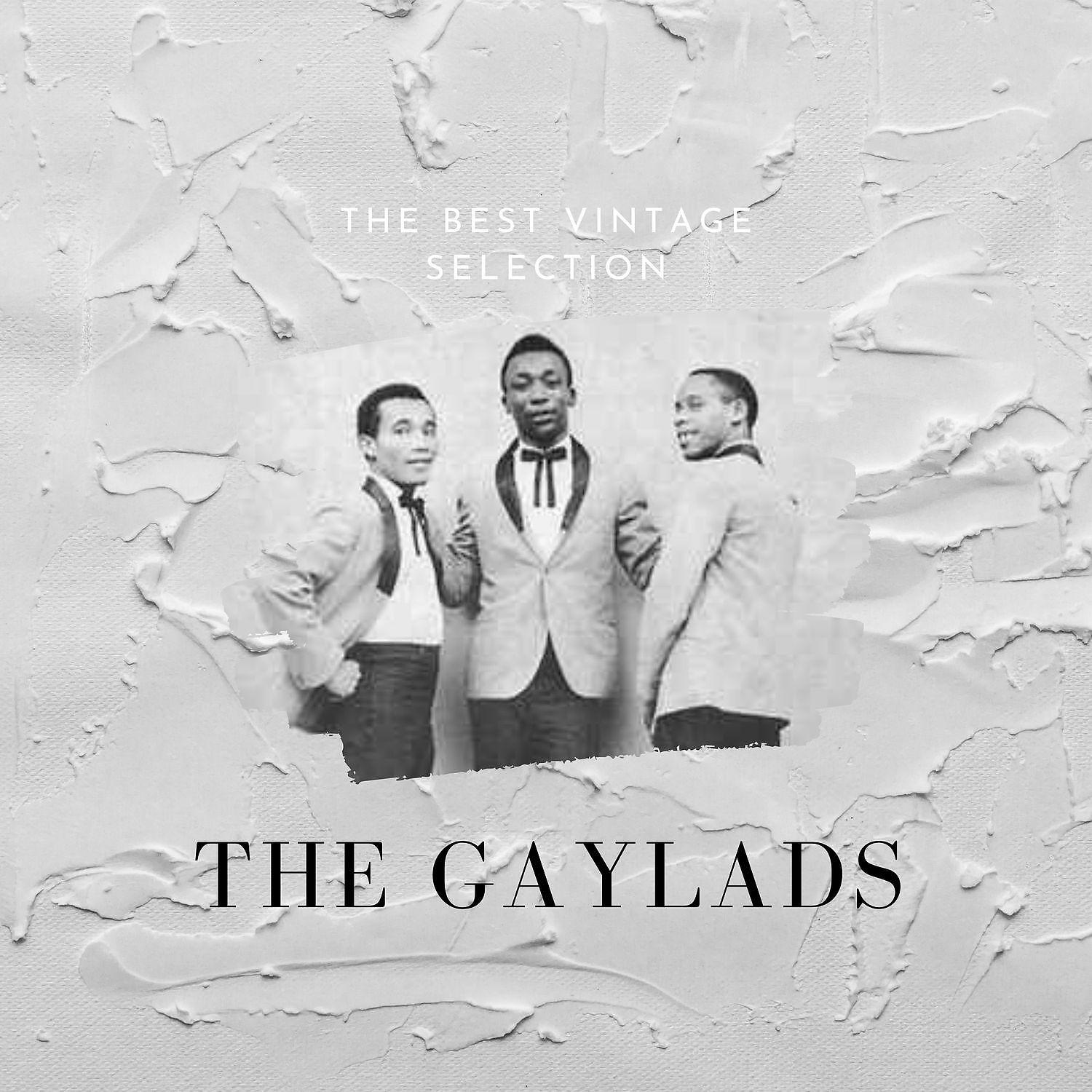 Постер альбома The Best Vintage Selection - The Gaylads