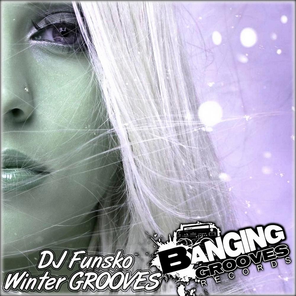 Постер альбома Winter Grooves