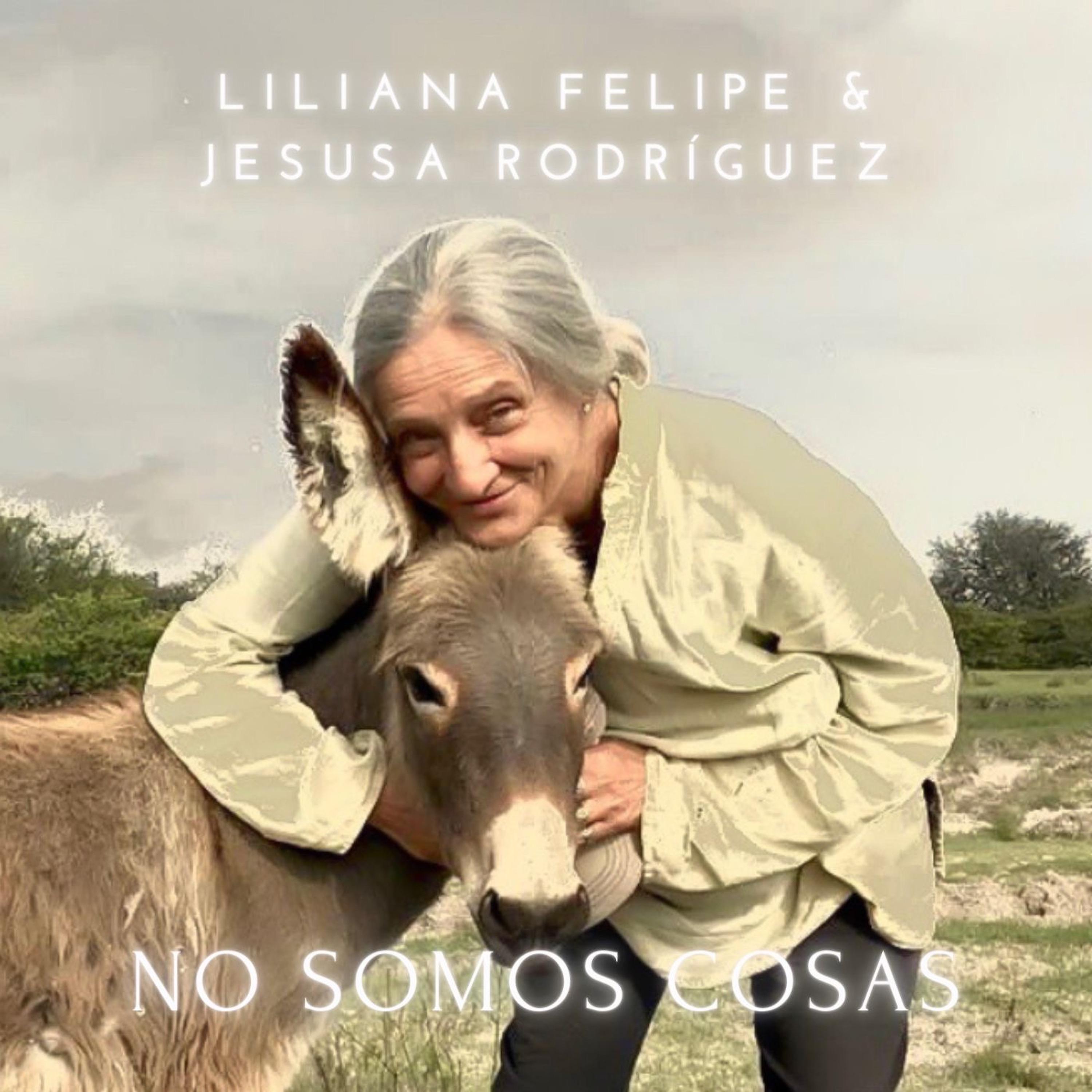 Постер альбома No Somos Cosas