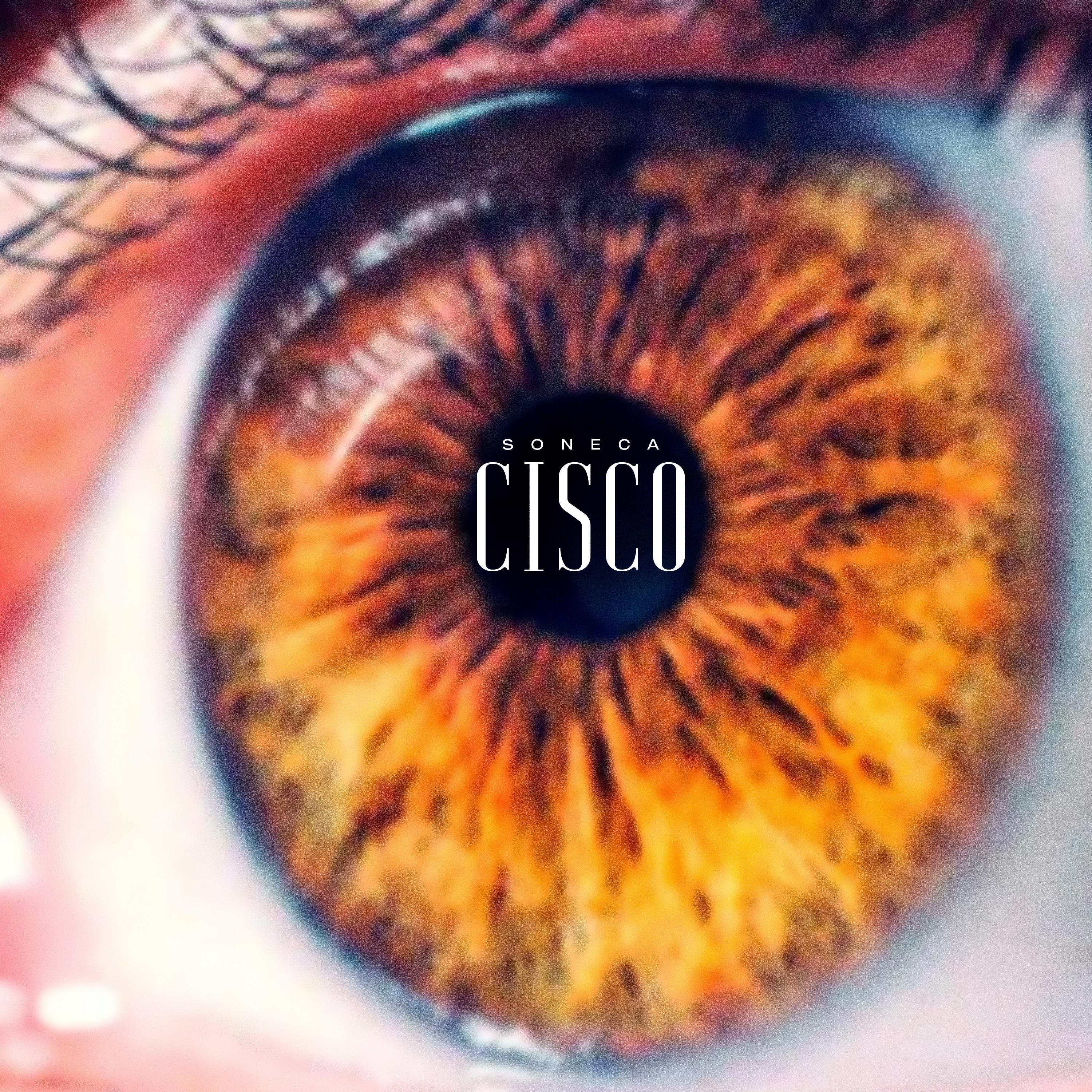 Постер альбома Cisco