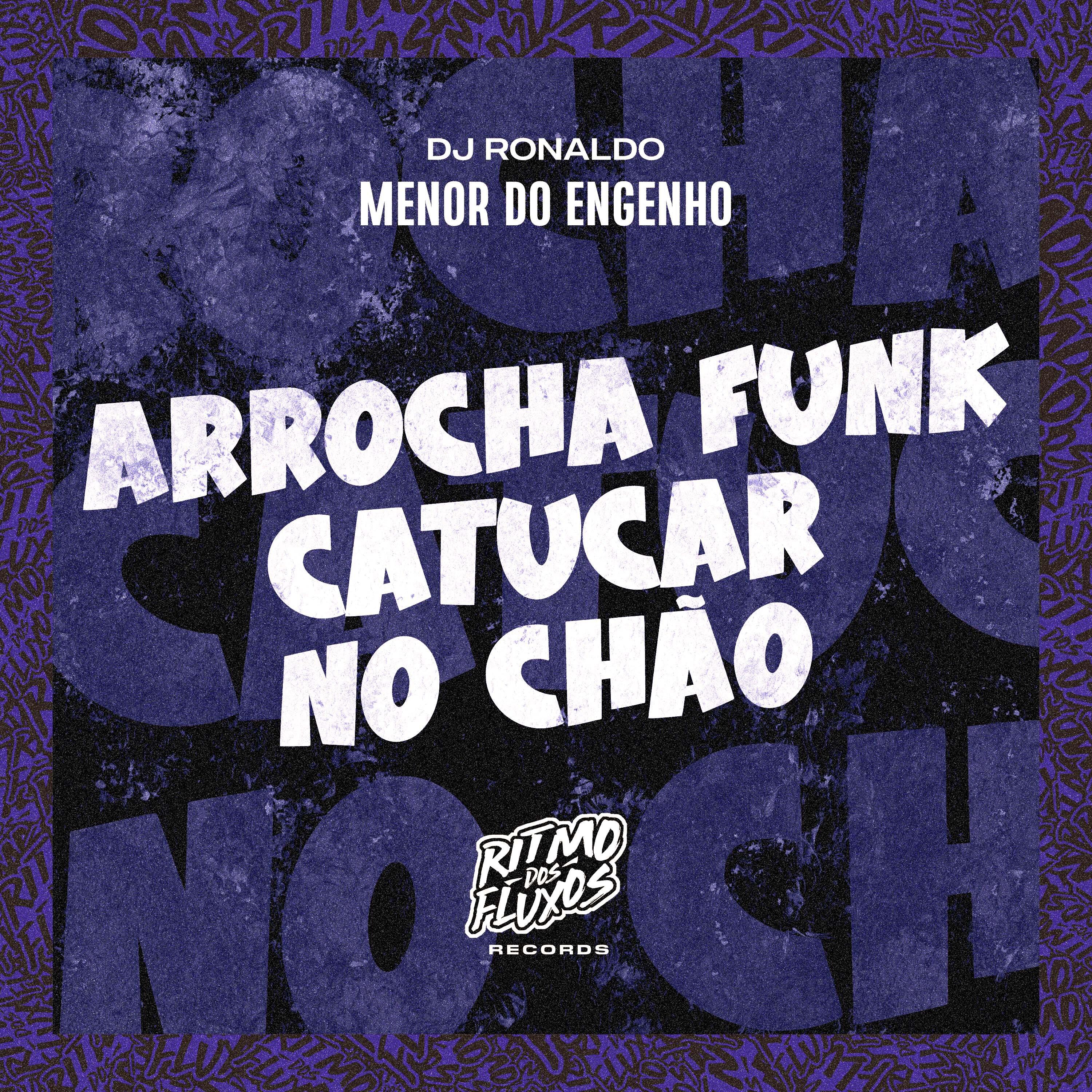 Постер альбома Arrocha Funk Catucar no Chão