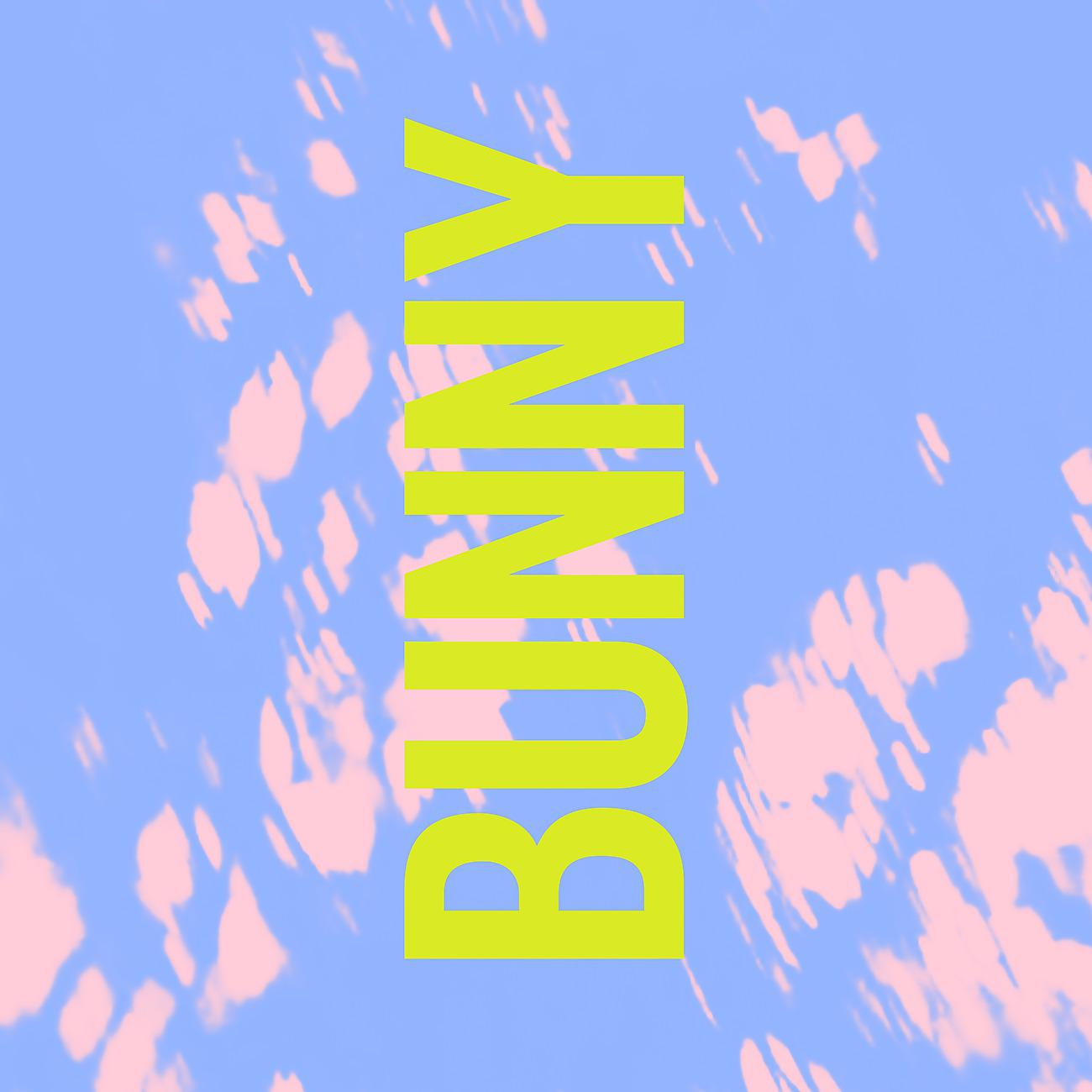 Постер альбома Bunny