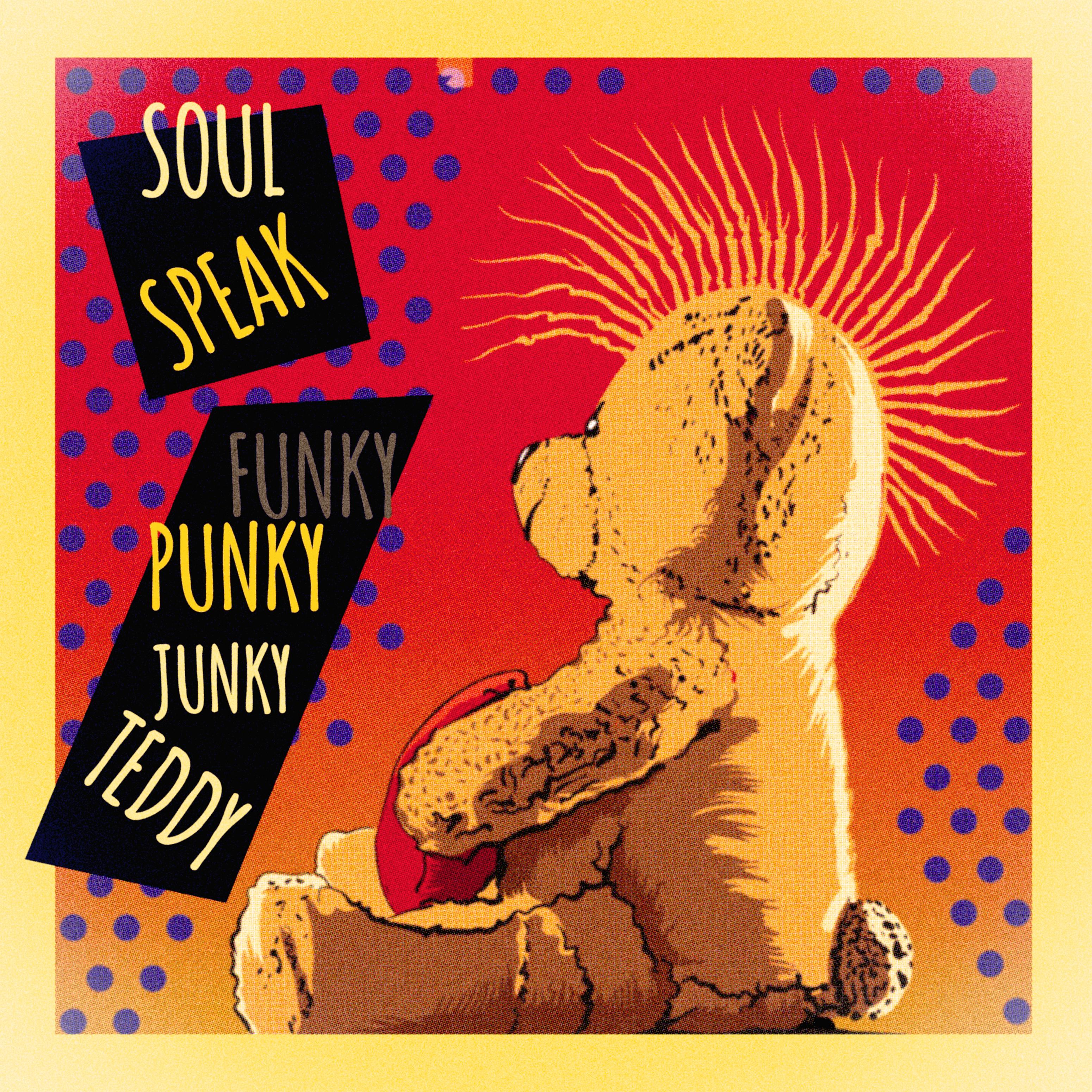 Постер альбома Funky Punky Junky Teddy