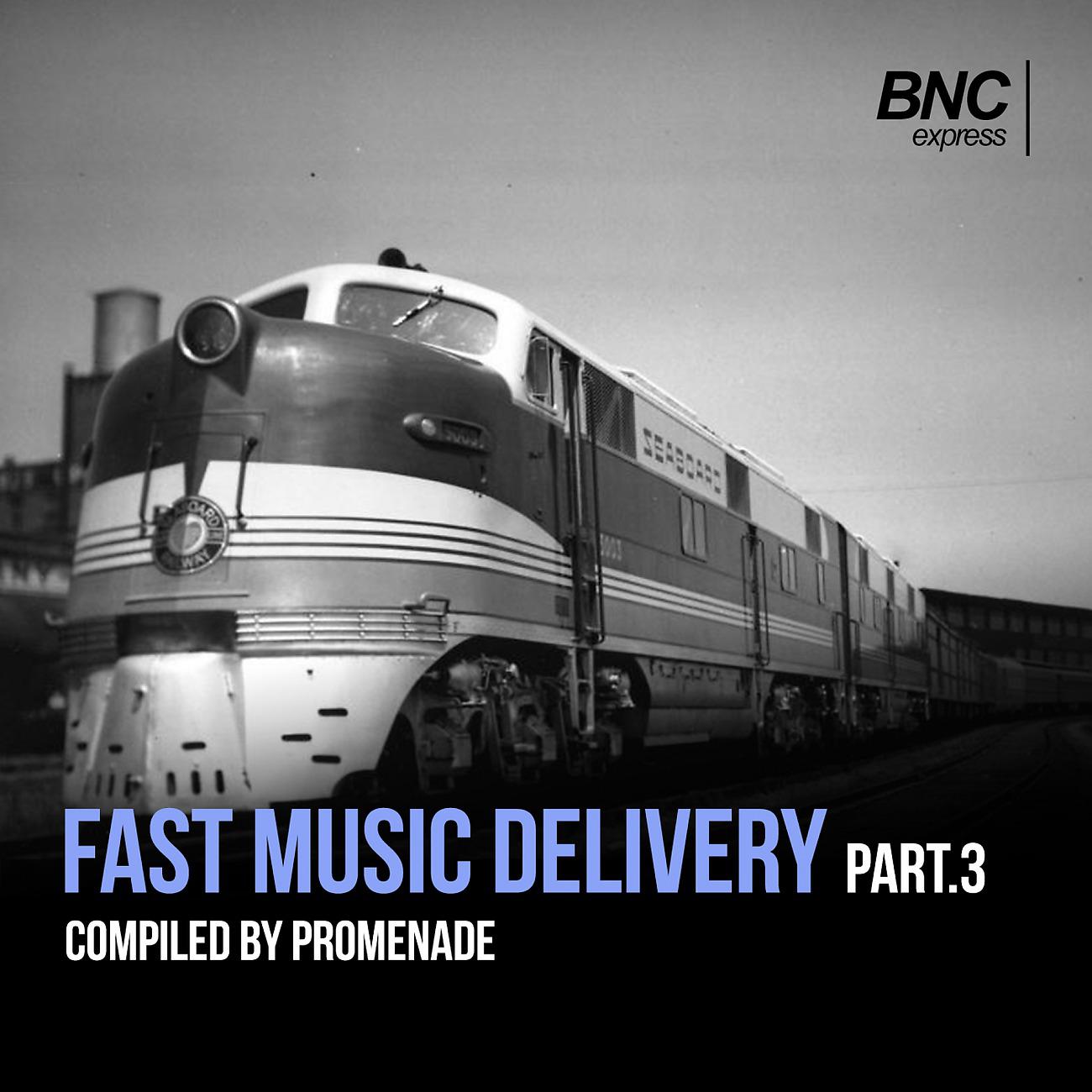 Постер альбома Fast Music Delivery part 3