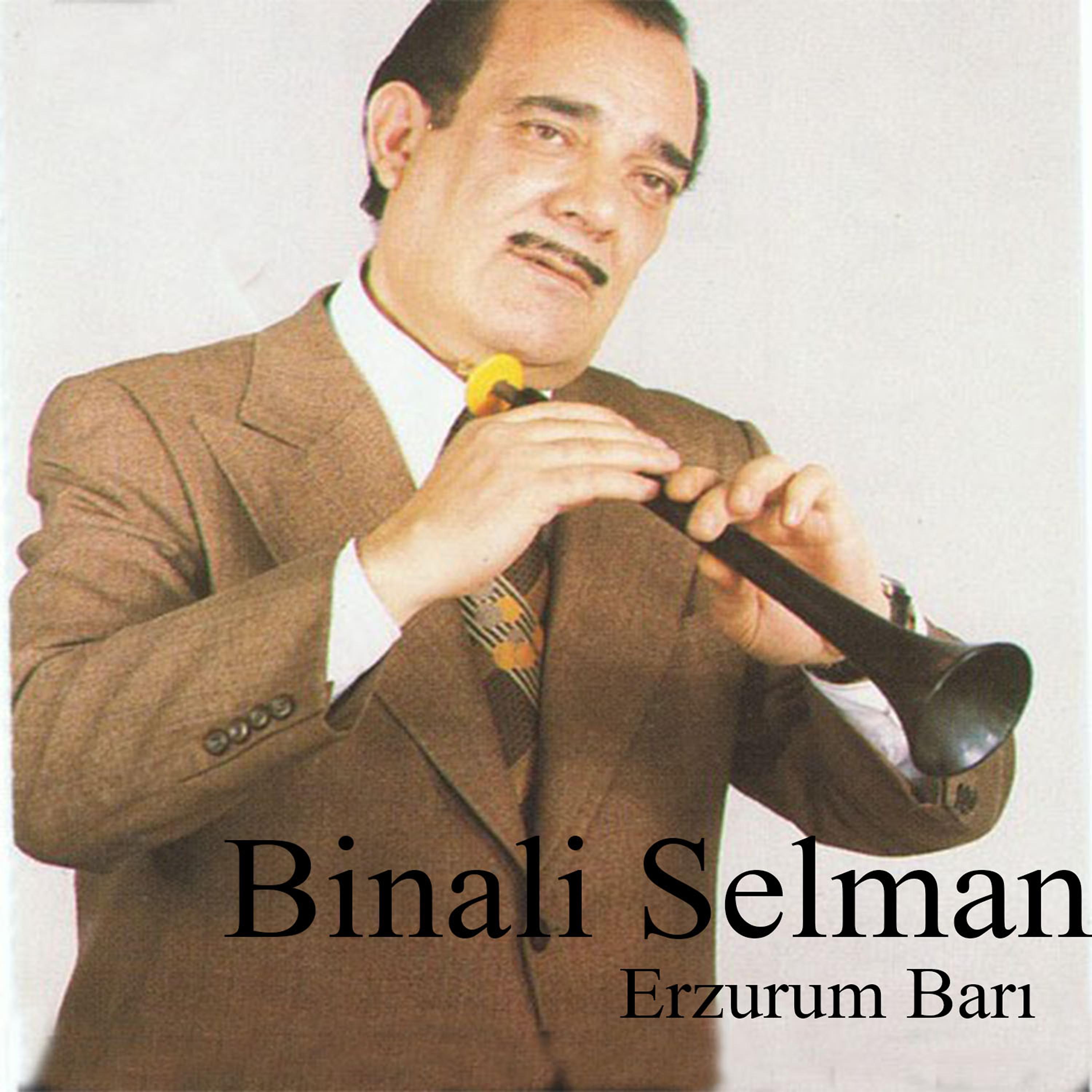 Постер альбома Erzurum Barı