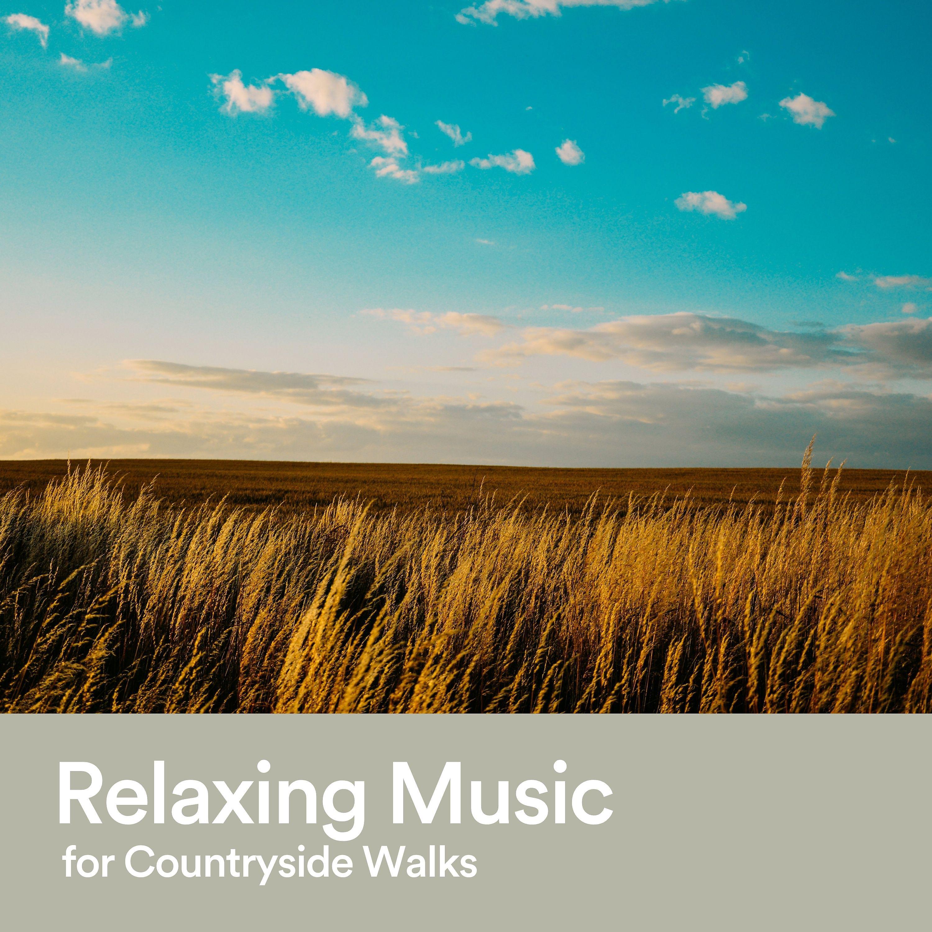 Постер альбома Relaxing Music for Countryside Walks