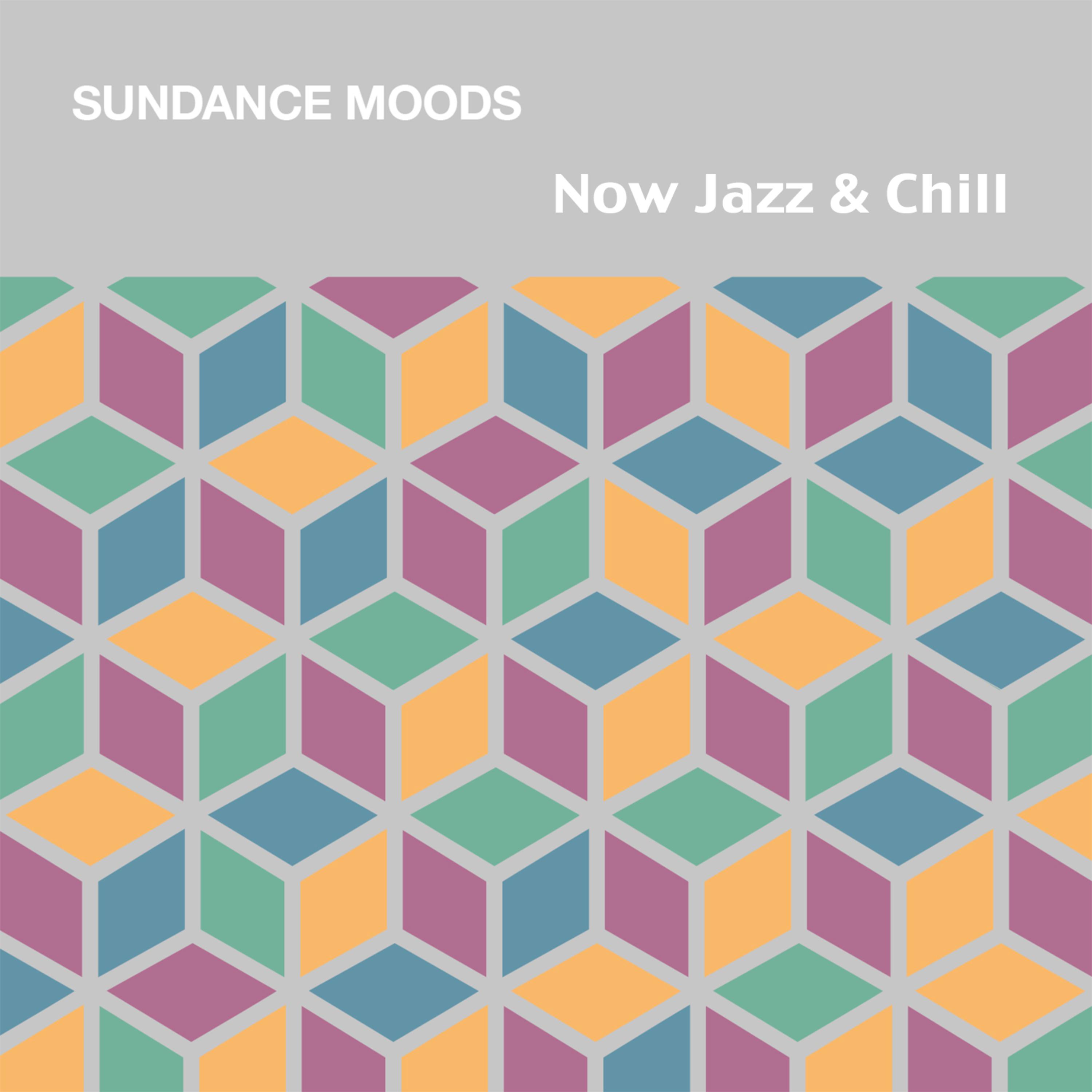 Постер альбома Now Jazz & Chill