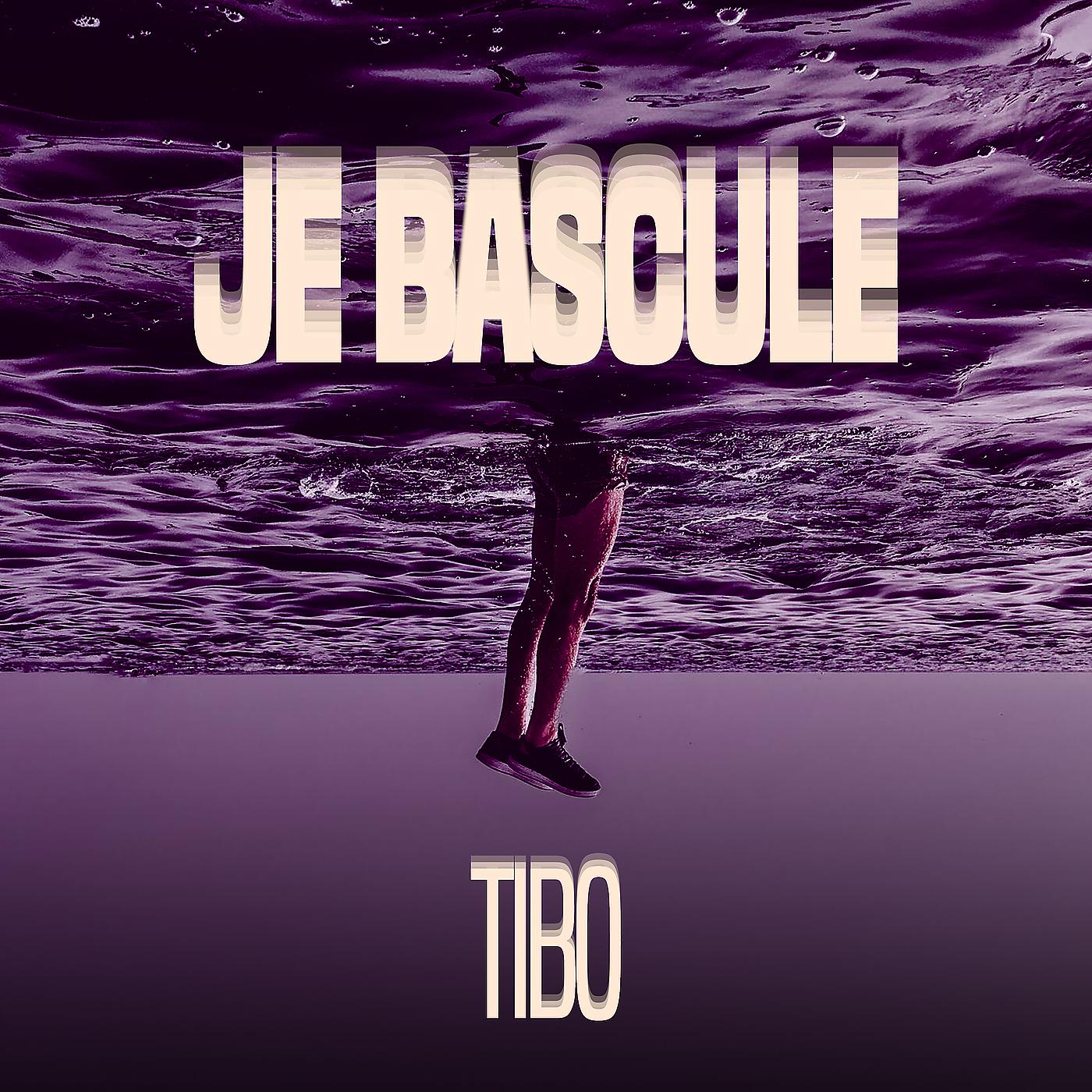 Постер альбома Je Bascule
