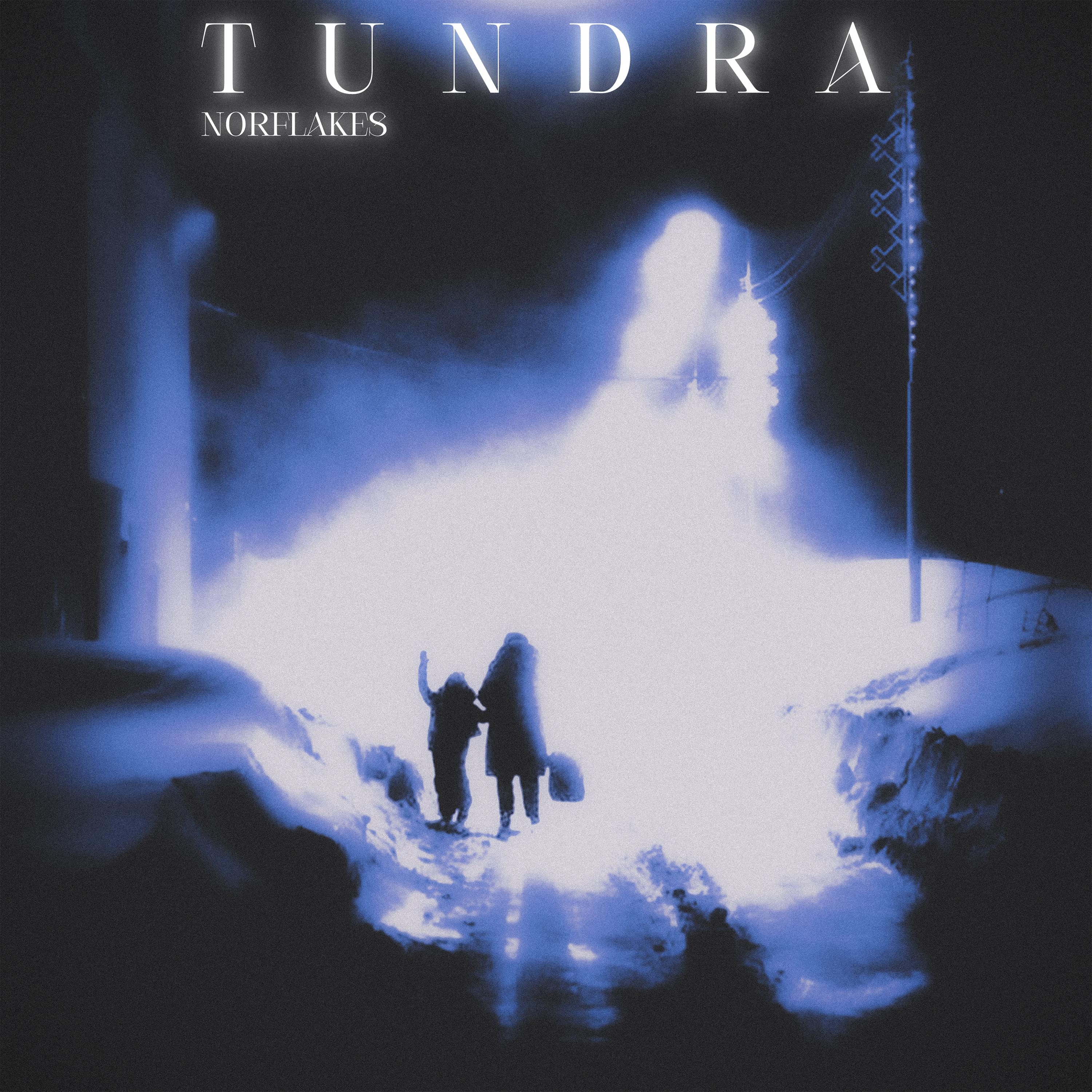 Постер альбома TUNDRA