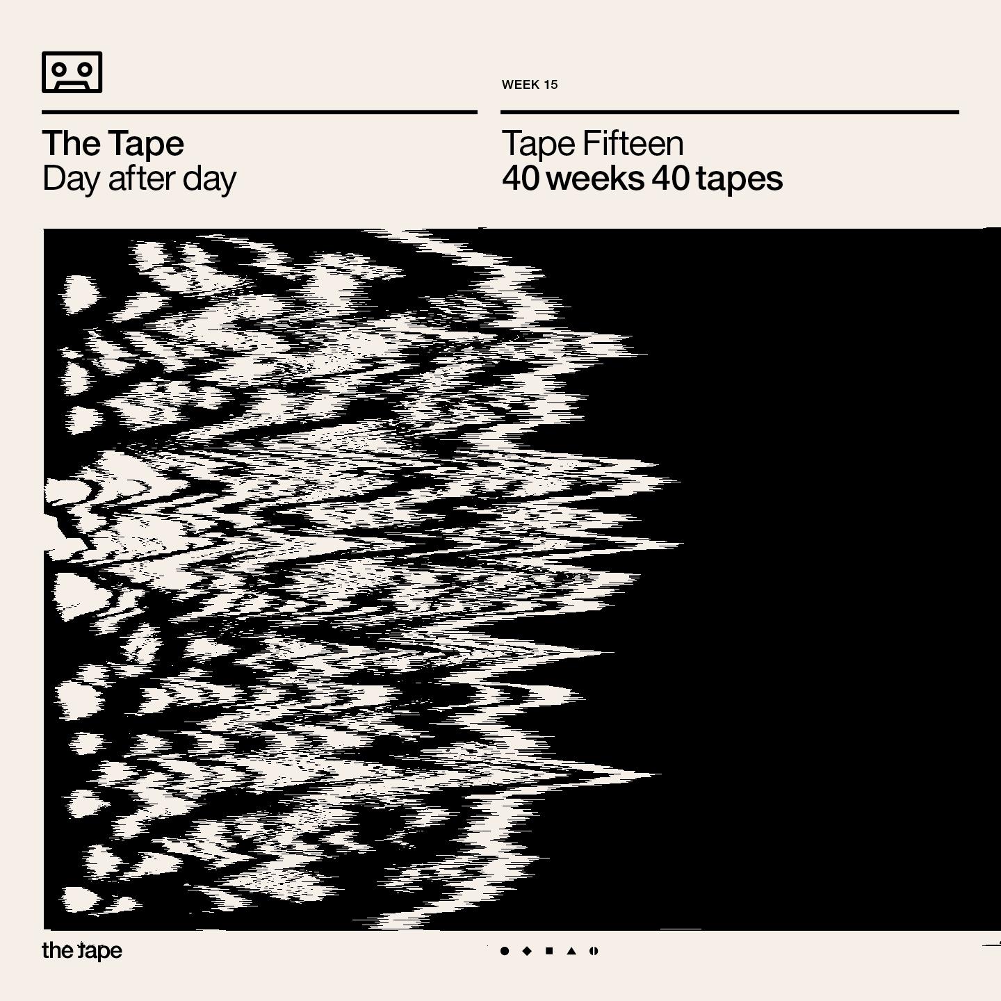 Постер альбома Day After Day (Tape Fifteen) [40 Weeks 40 Days]