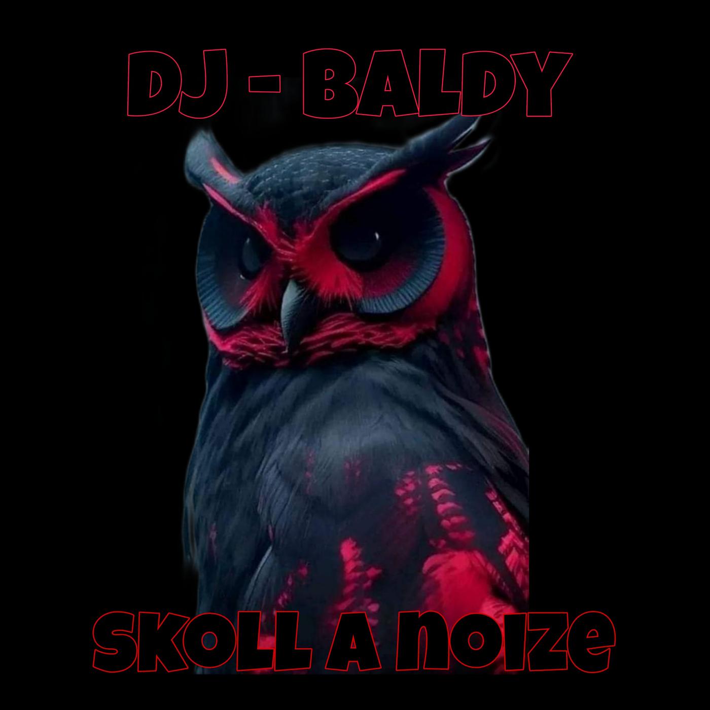 Постер альбома Skoll a Noize