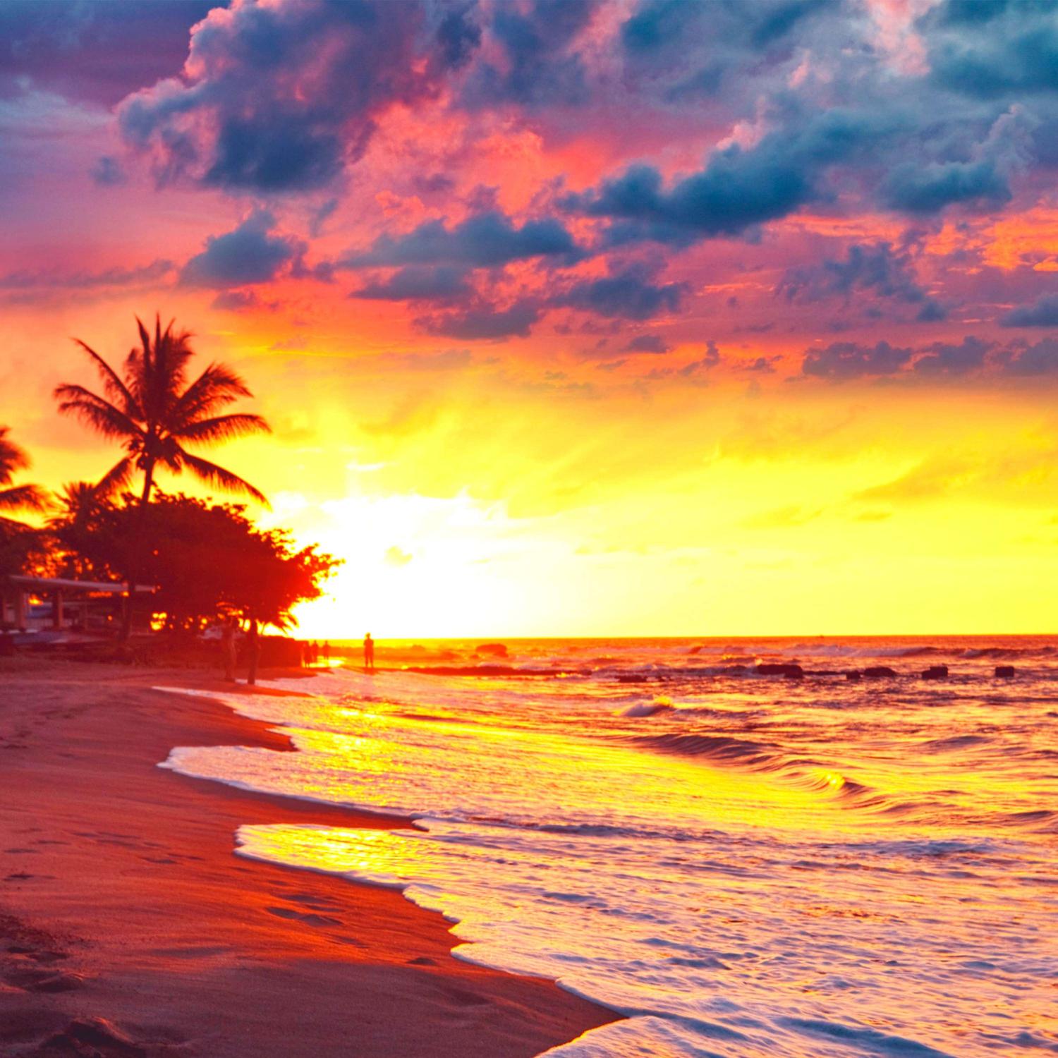 Постер альбома Sunset on the beach