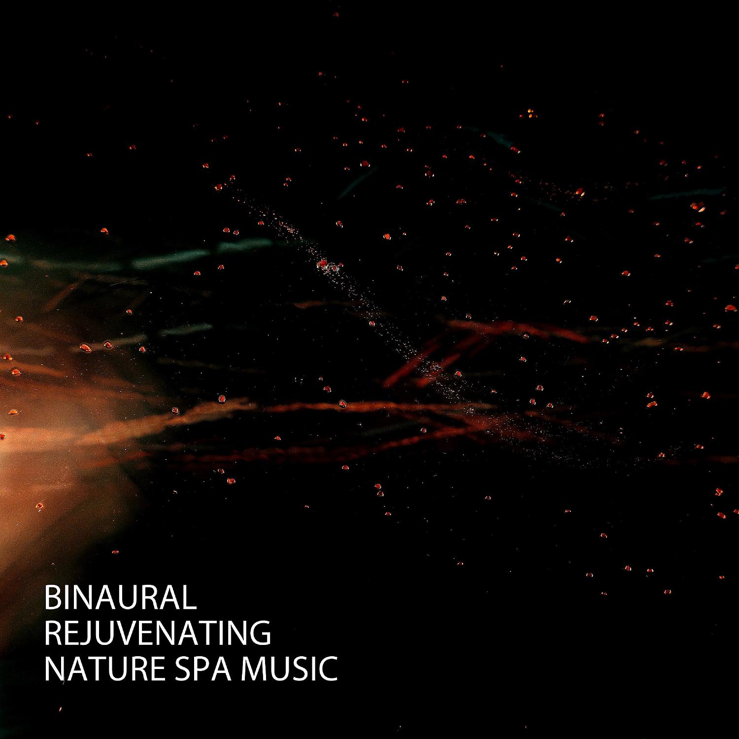 Постер альбома Binaural: Rejuvenating Nature Spa Music