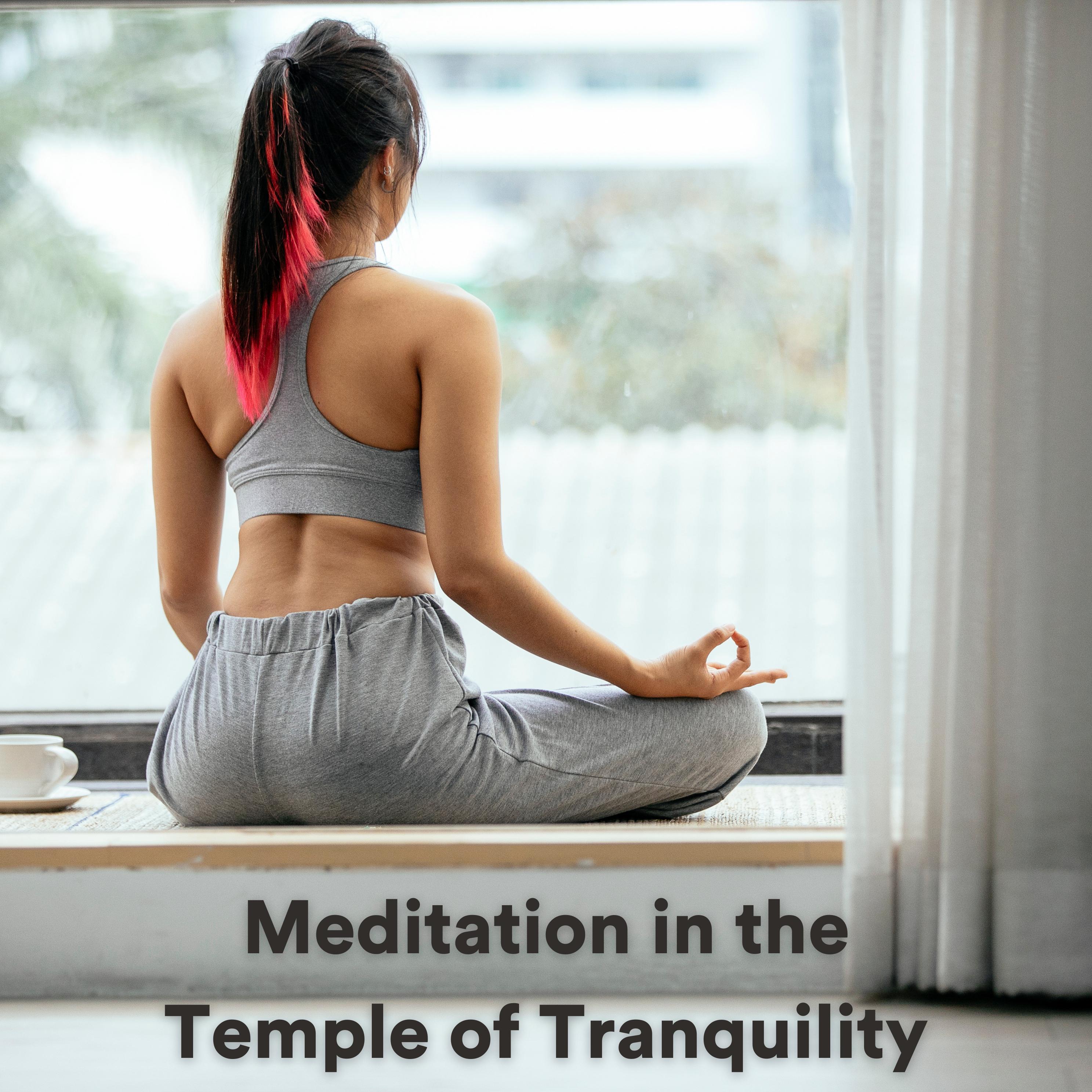Постер альбома Meditation in the Temple of Tranquility