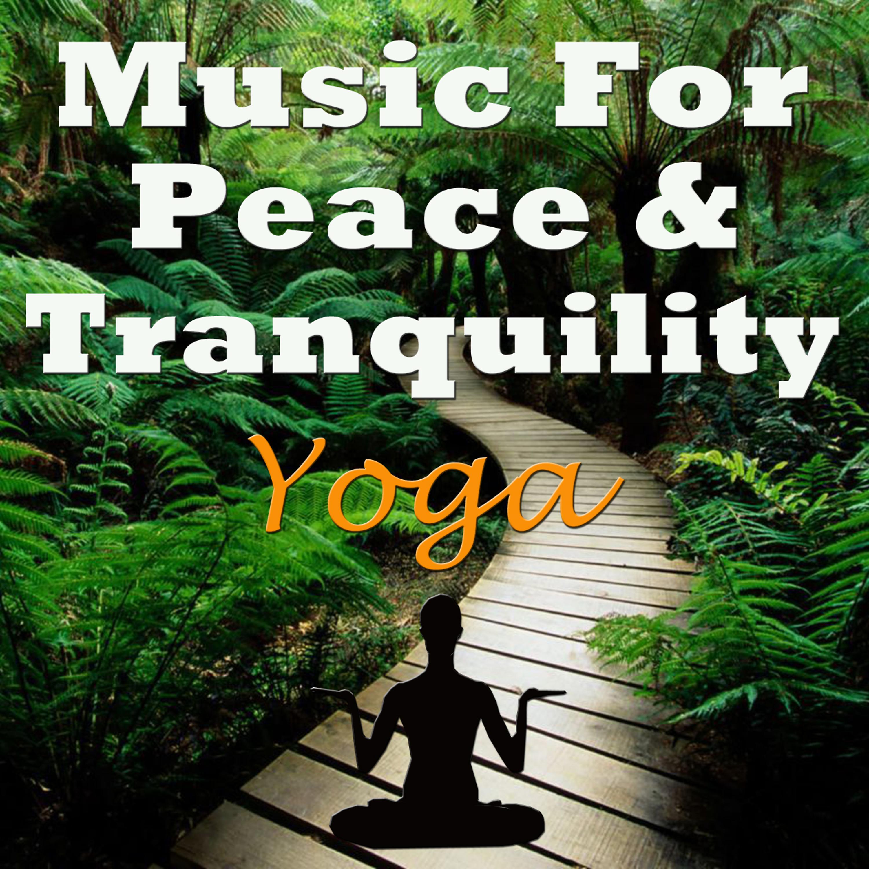 Постер альбома Music for Peace & Tranquility - Yoga