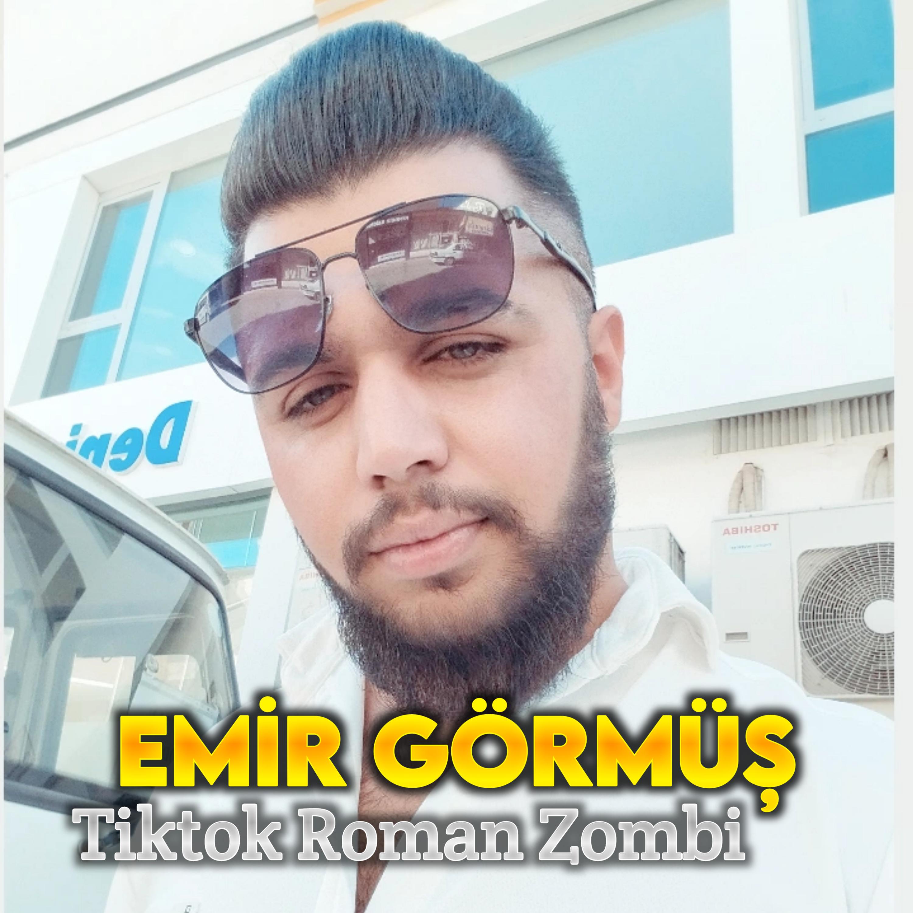Постер альбома Tiktok Roman Zombi