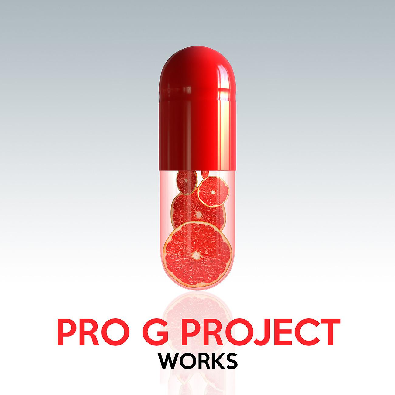 Постер альбома Pro G Project Works