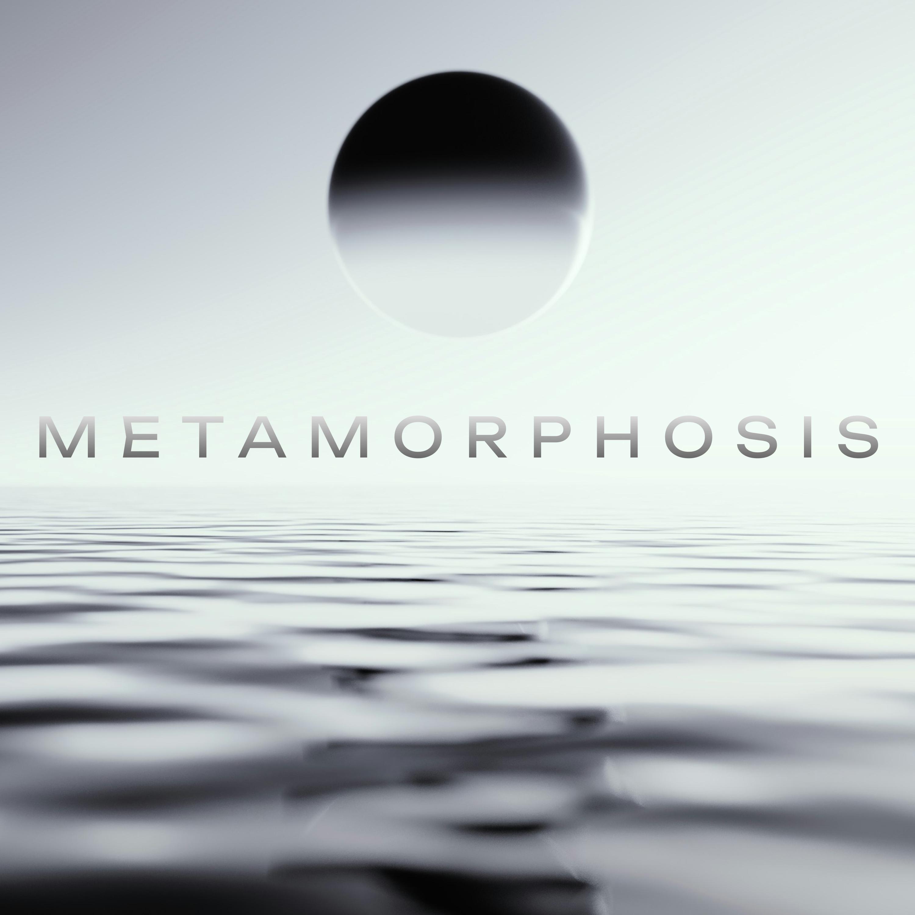 Постер альбома metamorphosis