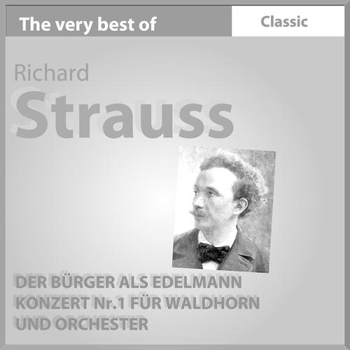 Постер альбома The Very Best of Richard Strauss: Der Bürger Als Edelmann, Konzert No. 1 Für Waldhorn Und Orchester