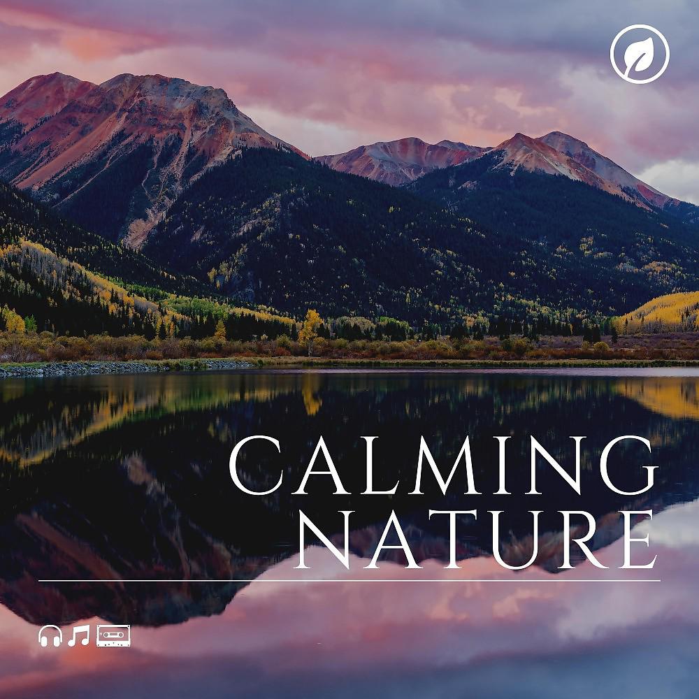 Постер альбома Calming Nature