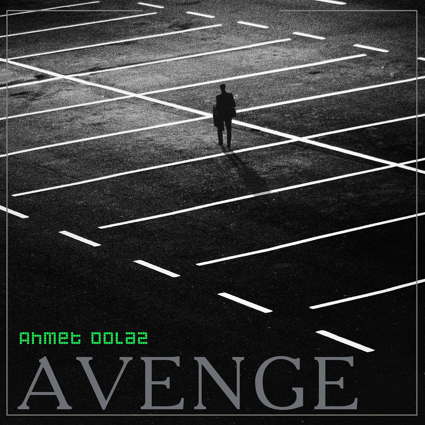 Постер альбома Avenge
