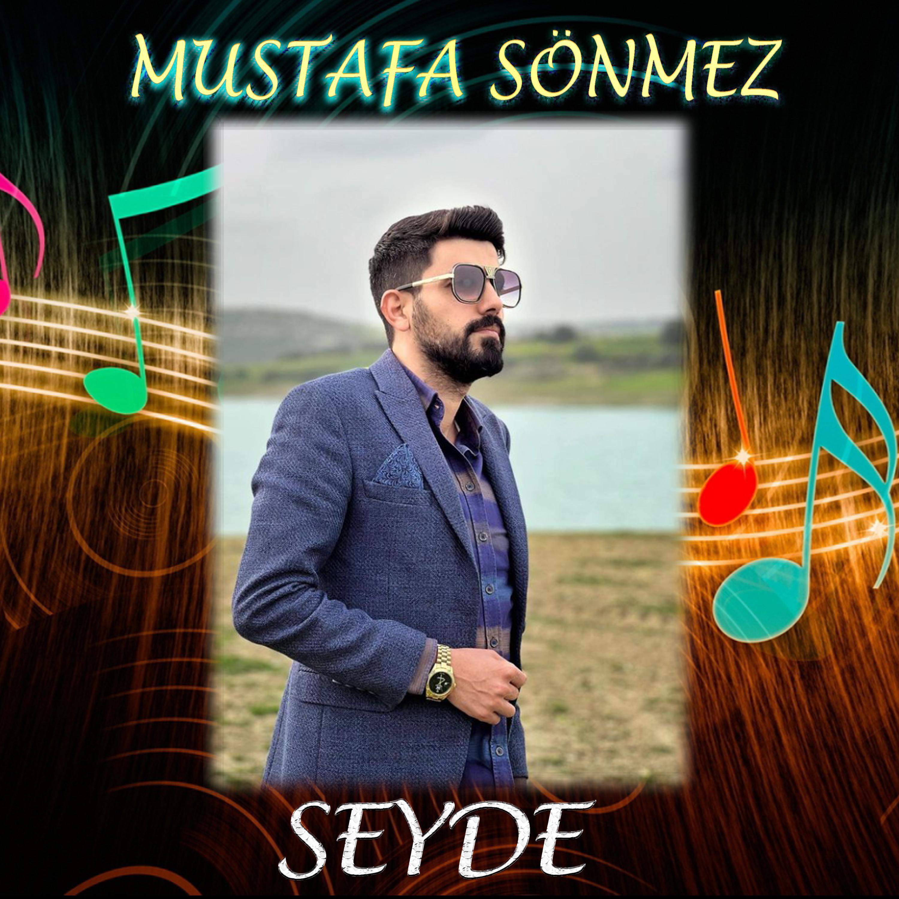 Постер альбома Seyde