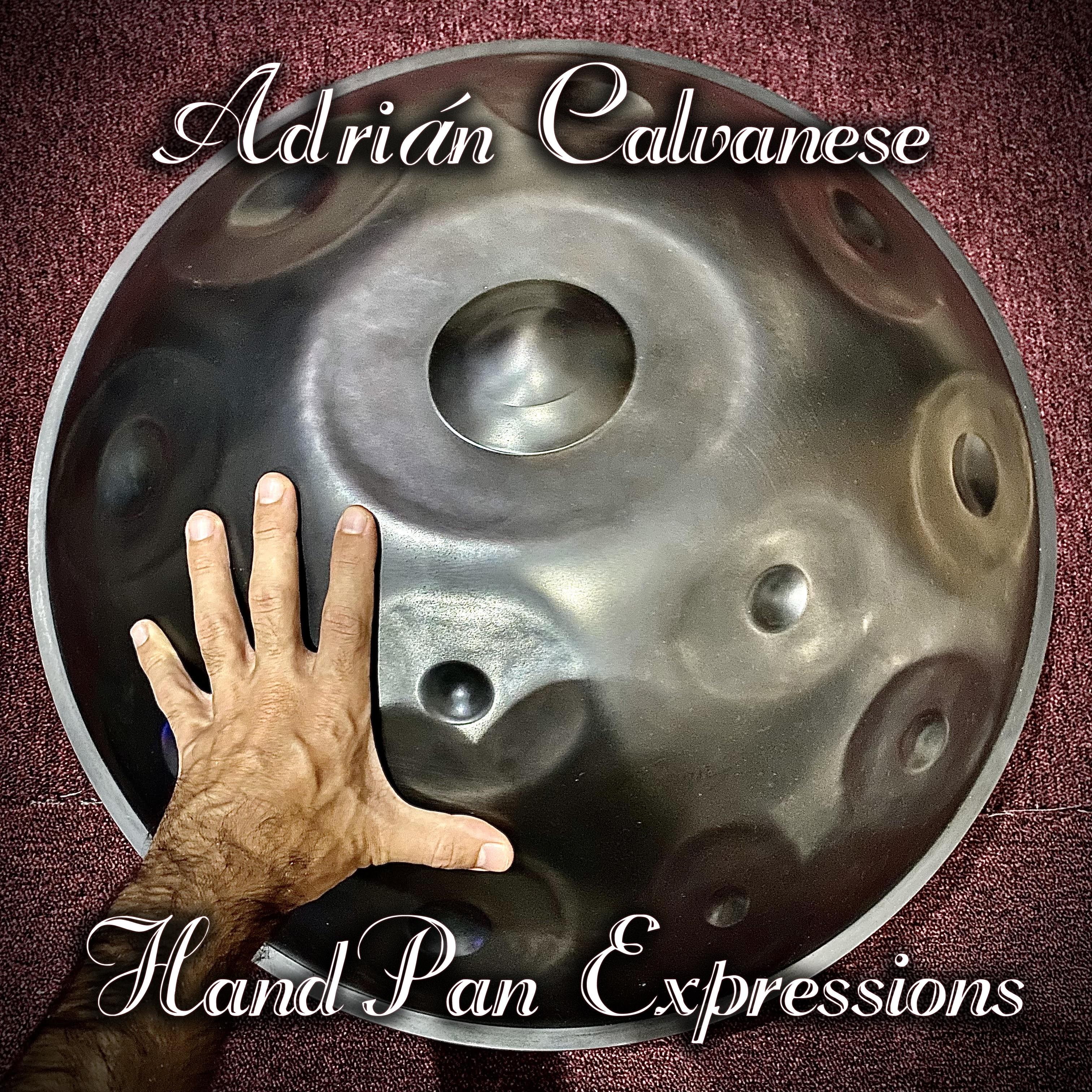 Постер альбома Hand Pan Expressions
