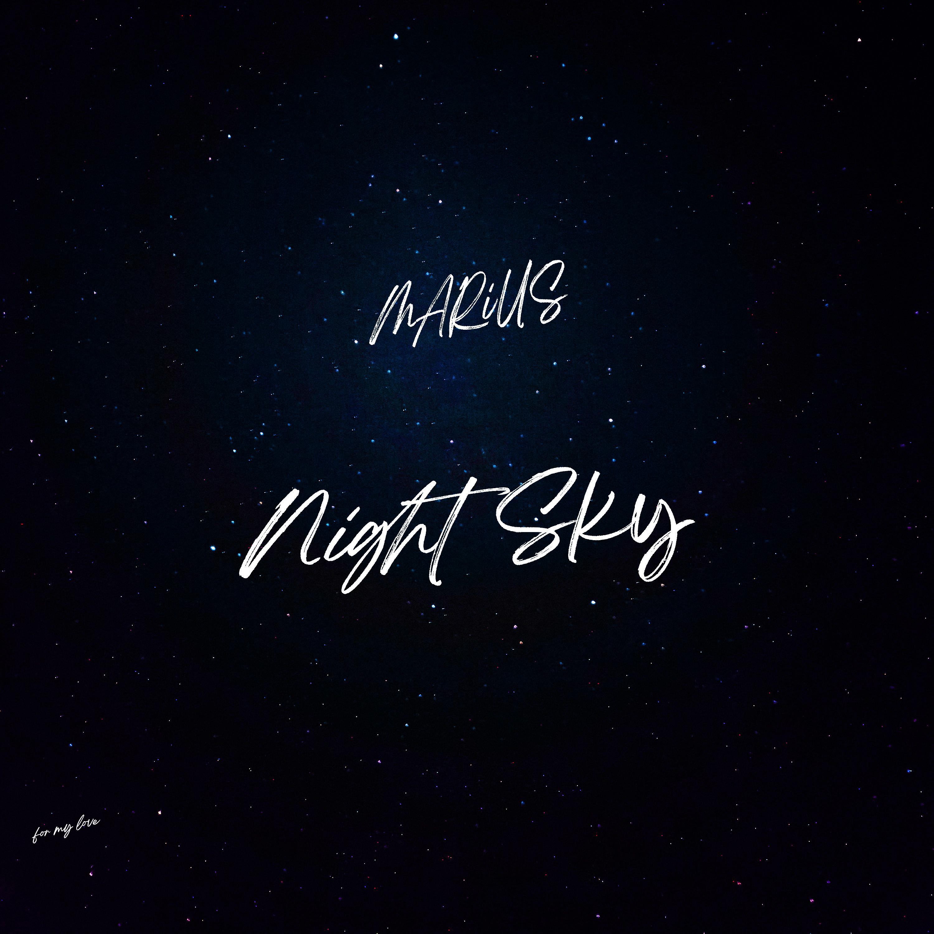 Постер альбома Night Sky
