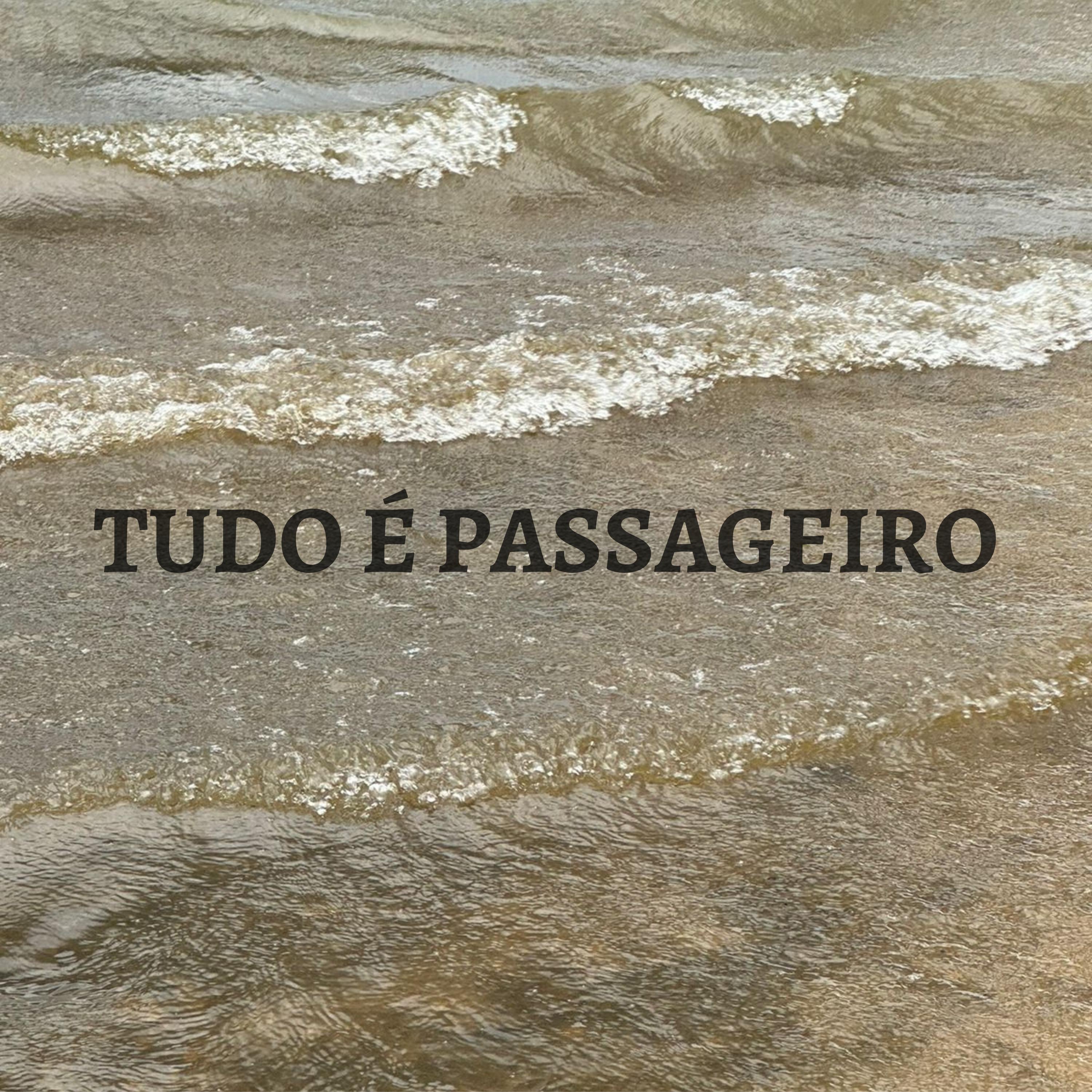 Постер альбома Tudo É Passageiro