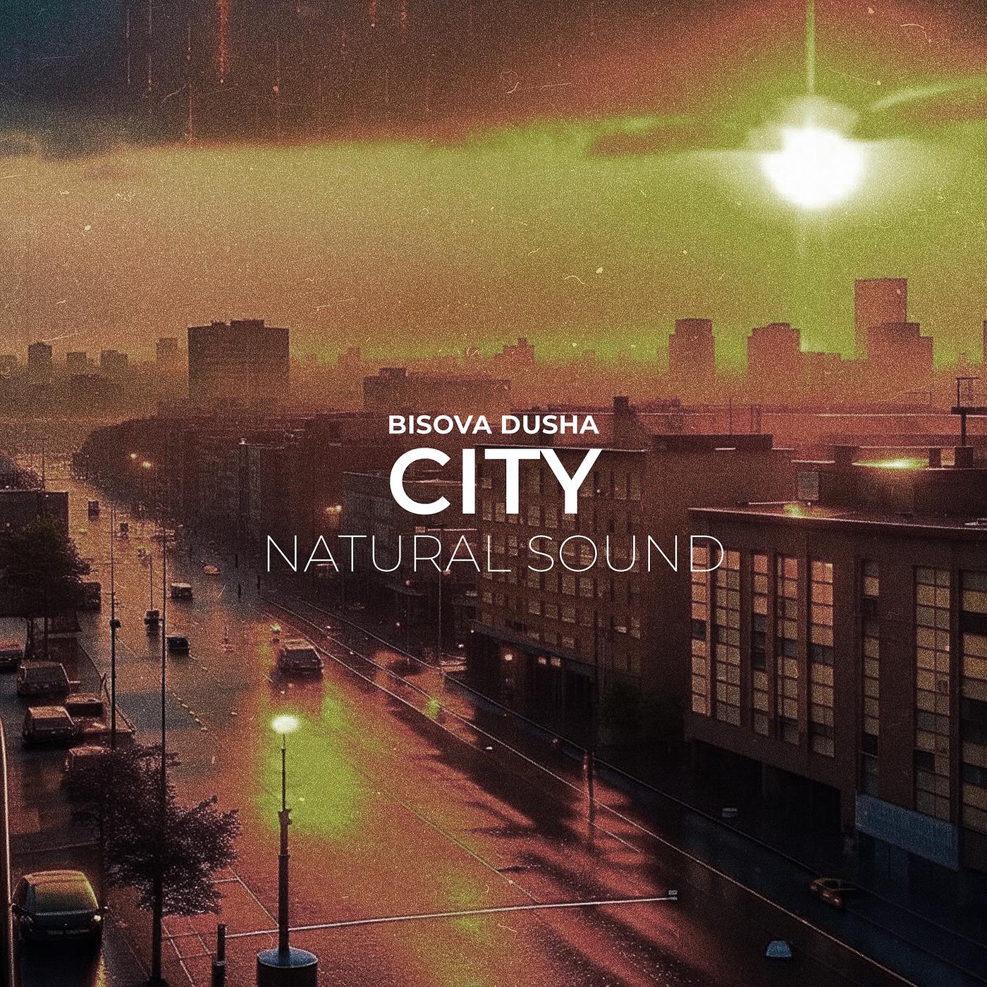 Постер альбома City Natural Sound