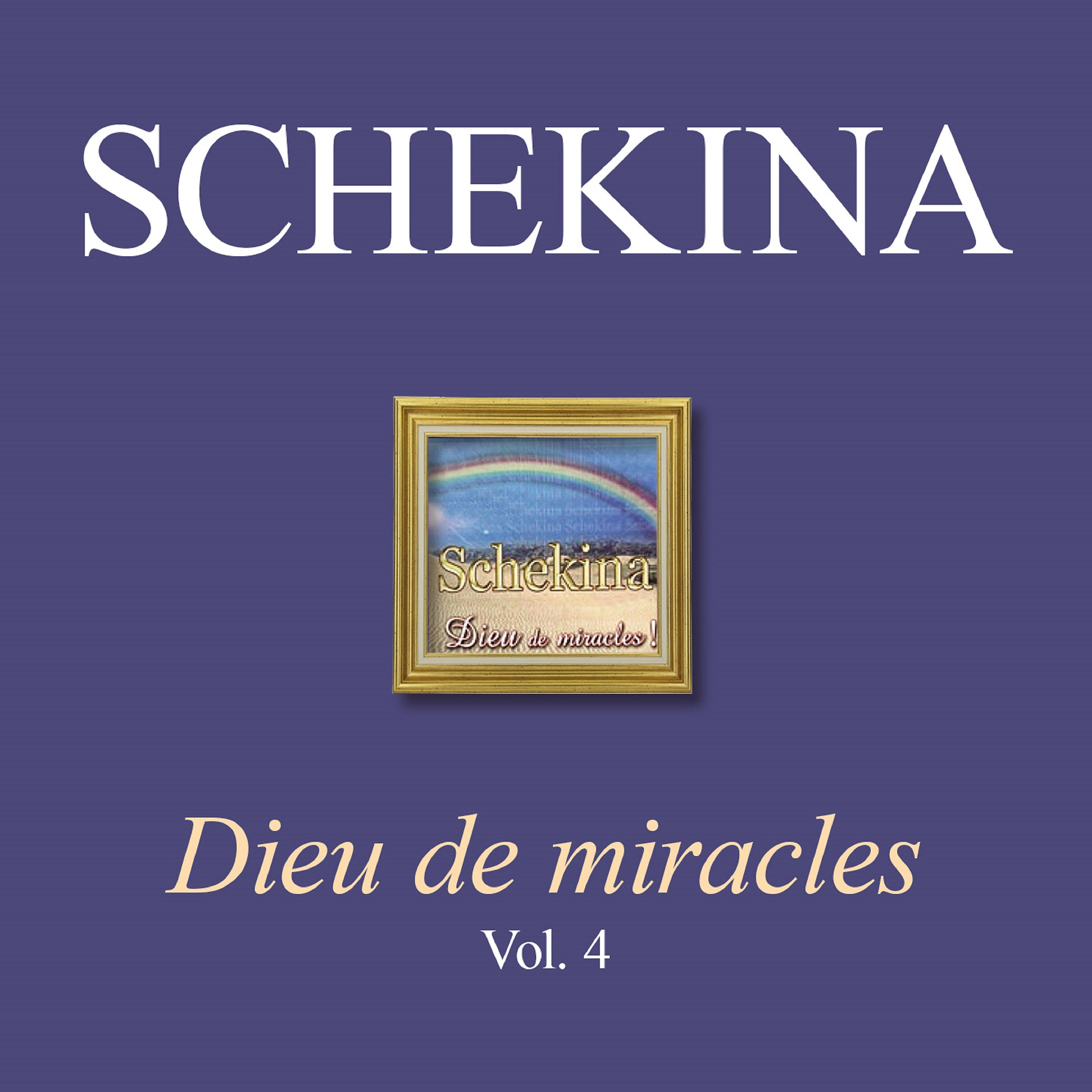 Постер альбома Dieu de miracles, Vol. 4