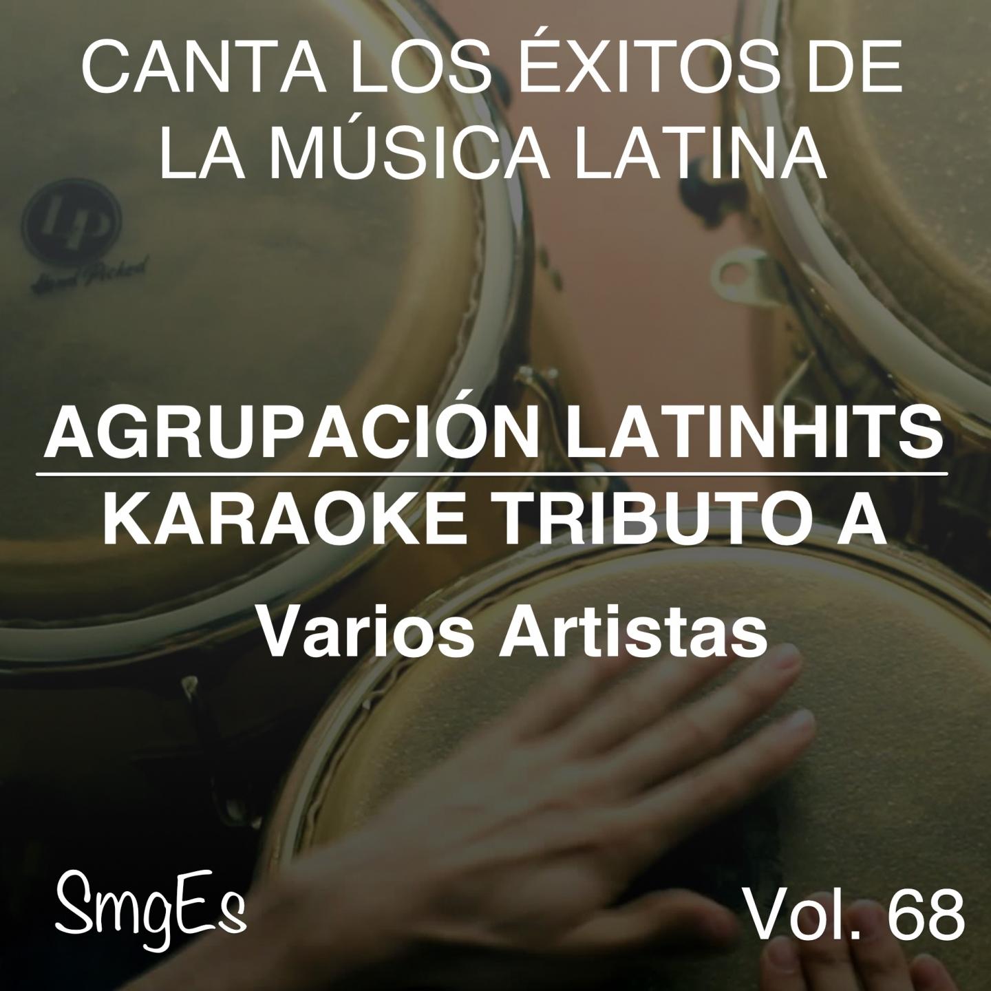 Постер альбома Instrumental Karaoke Series: Varios Artistas, Vol. 68