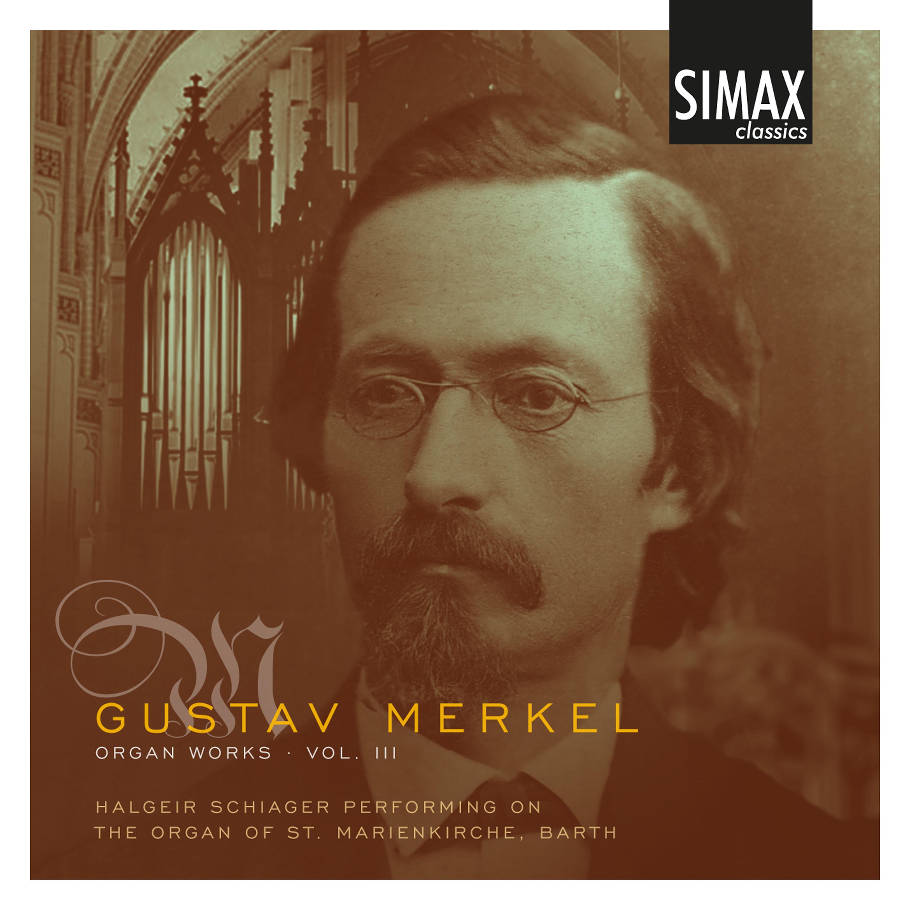 Постер альбома Gustav Merkel Organ Works, Vol. 3