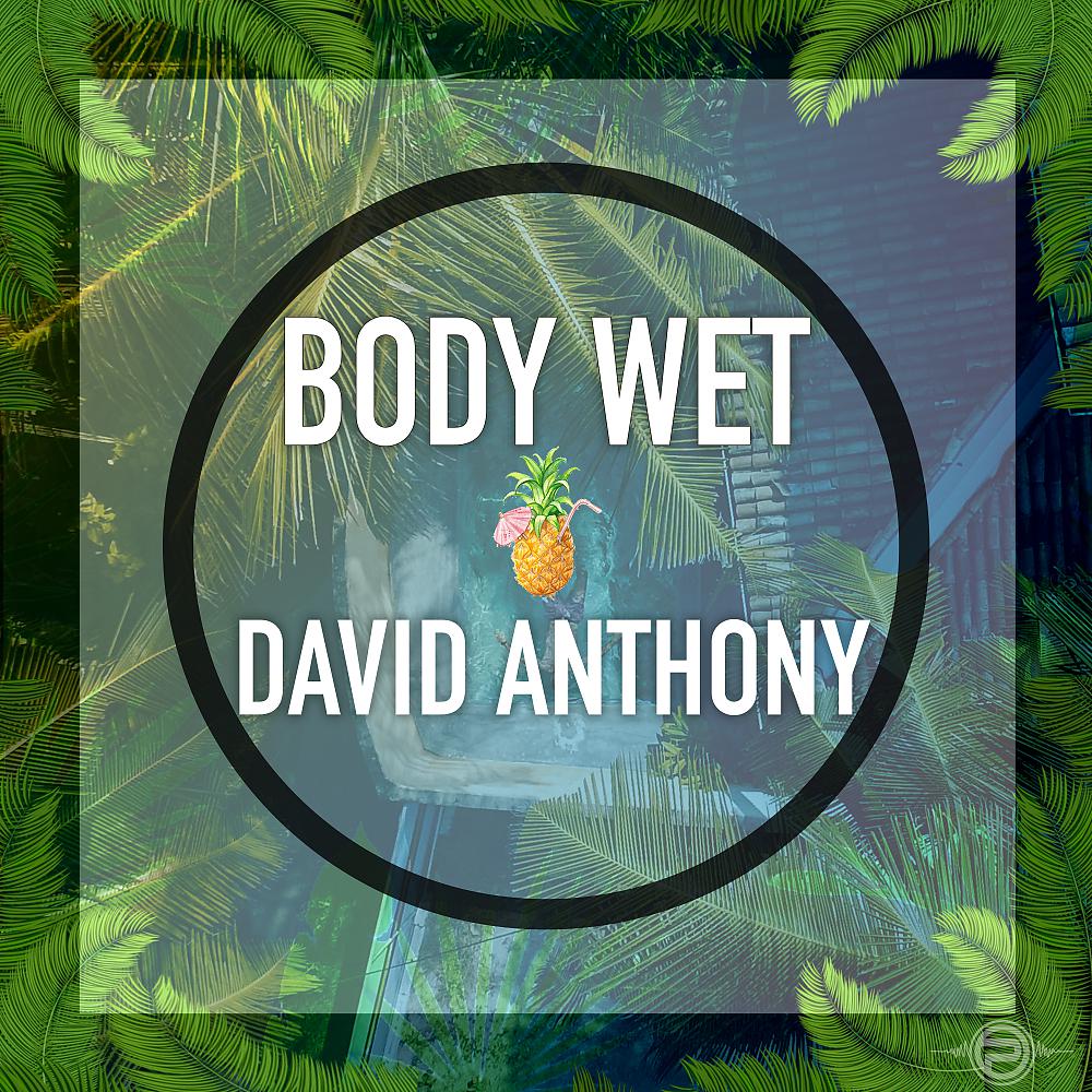 Постер альбома Body Wet (Radio Mix)
