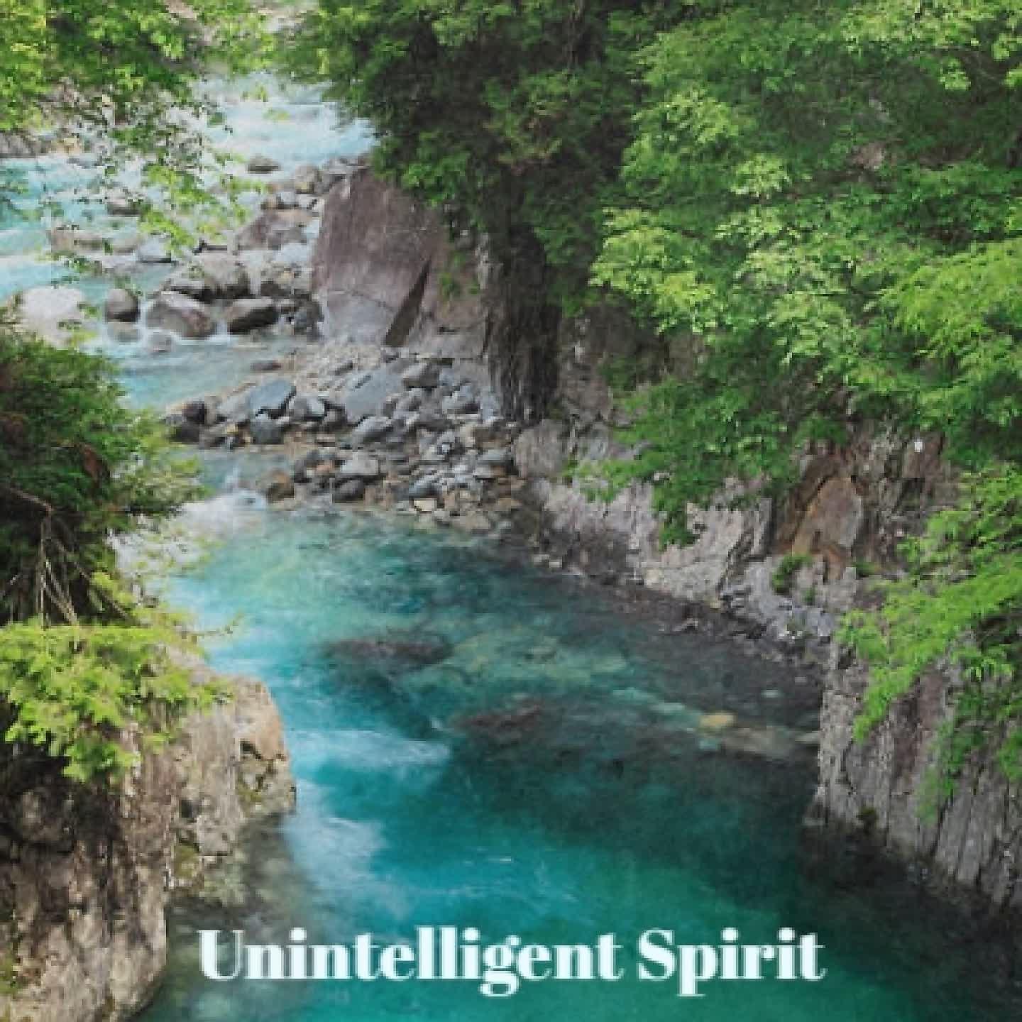 Постер альбома Unintelligent Spirit