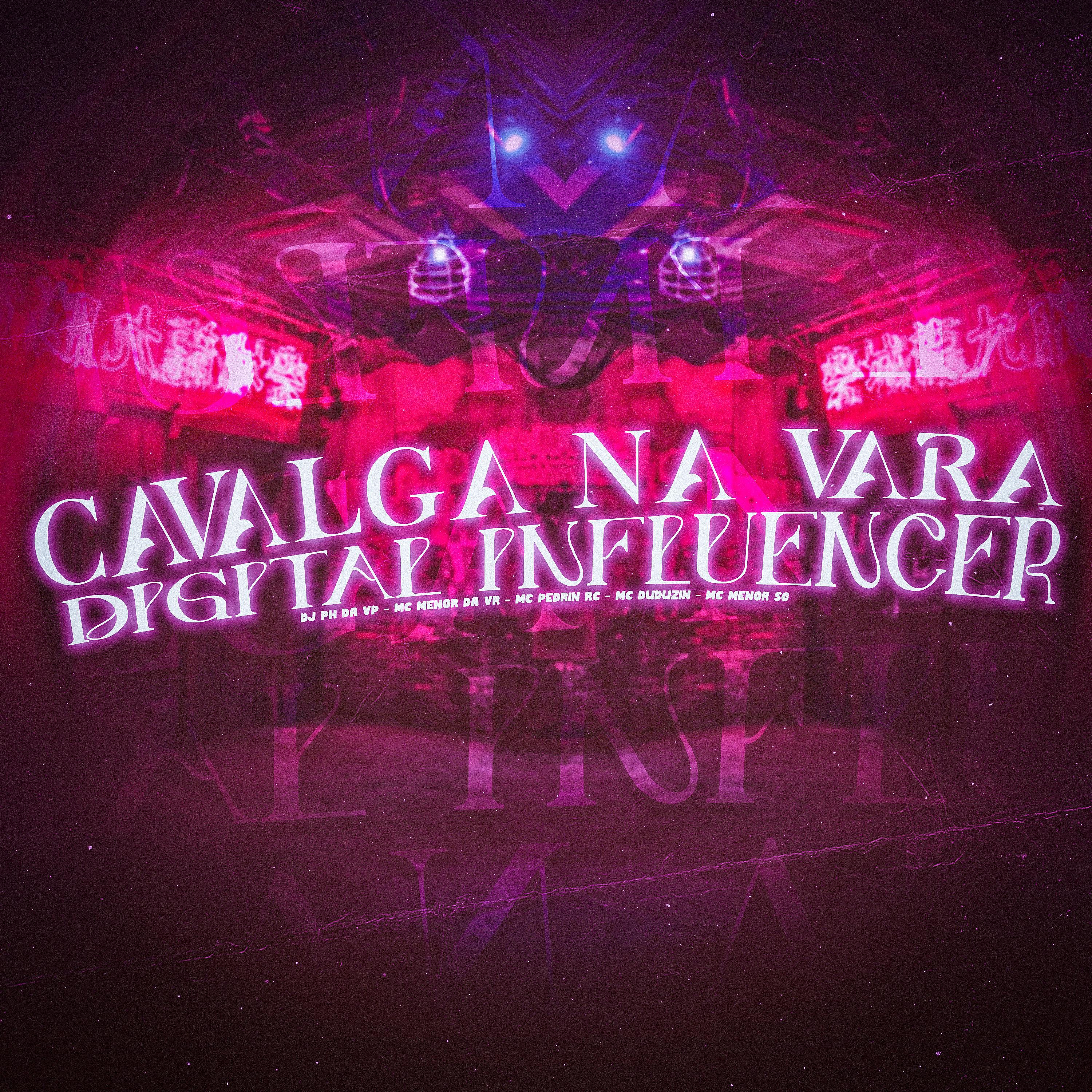 Постер альбома Cavalga na Vara X Digital Influencer